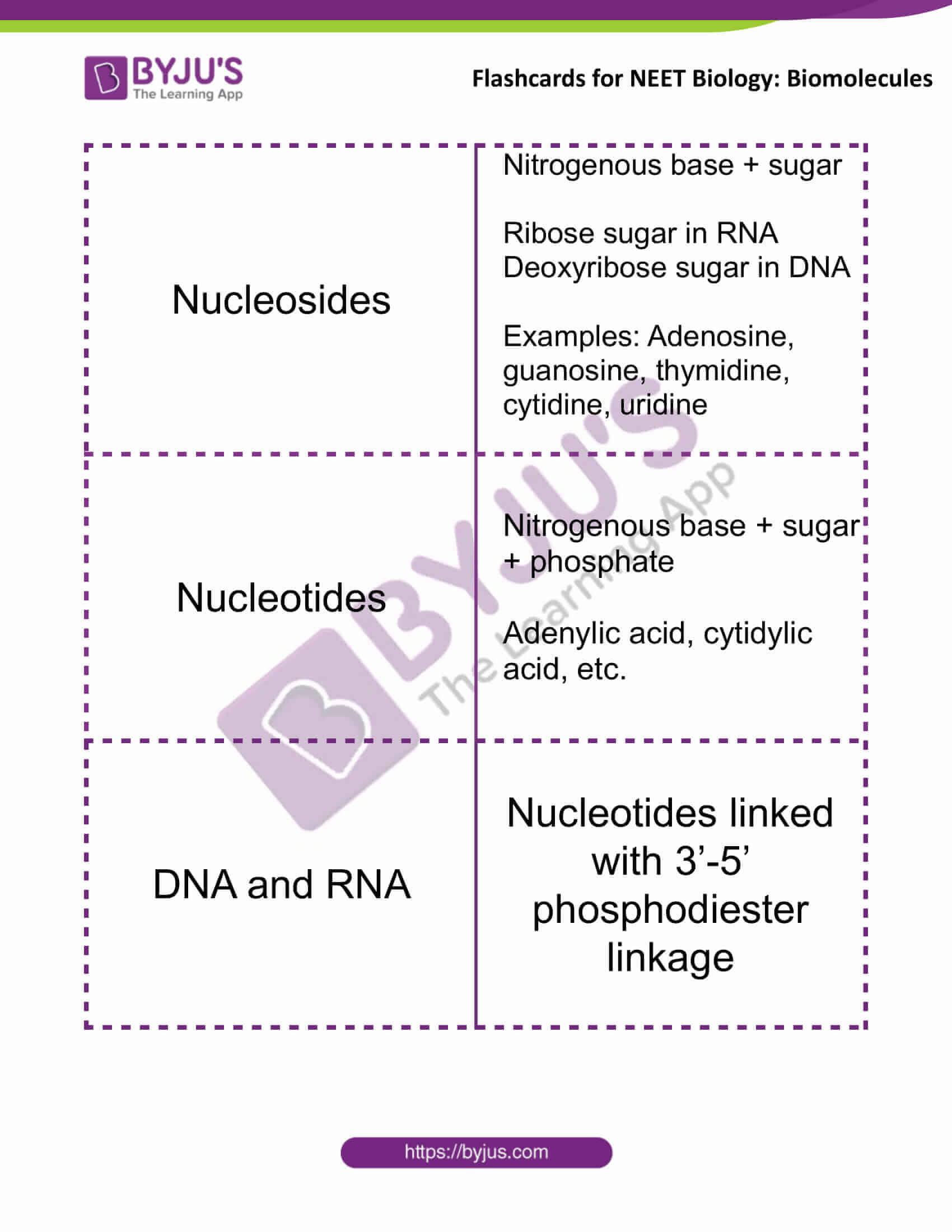 flashcards for neet biology biomolecules 3