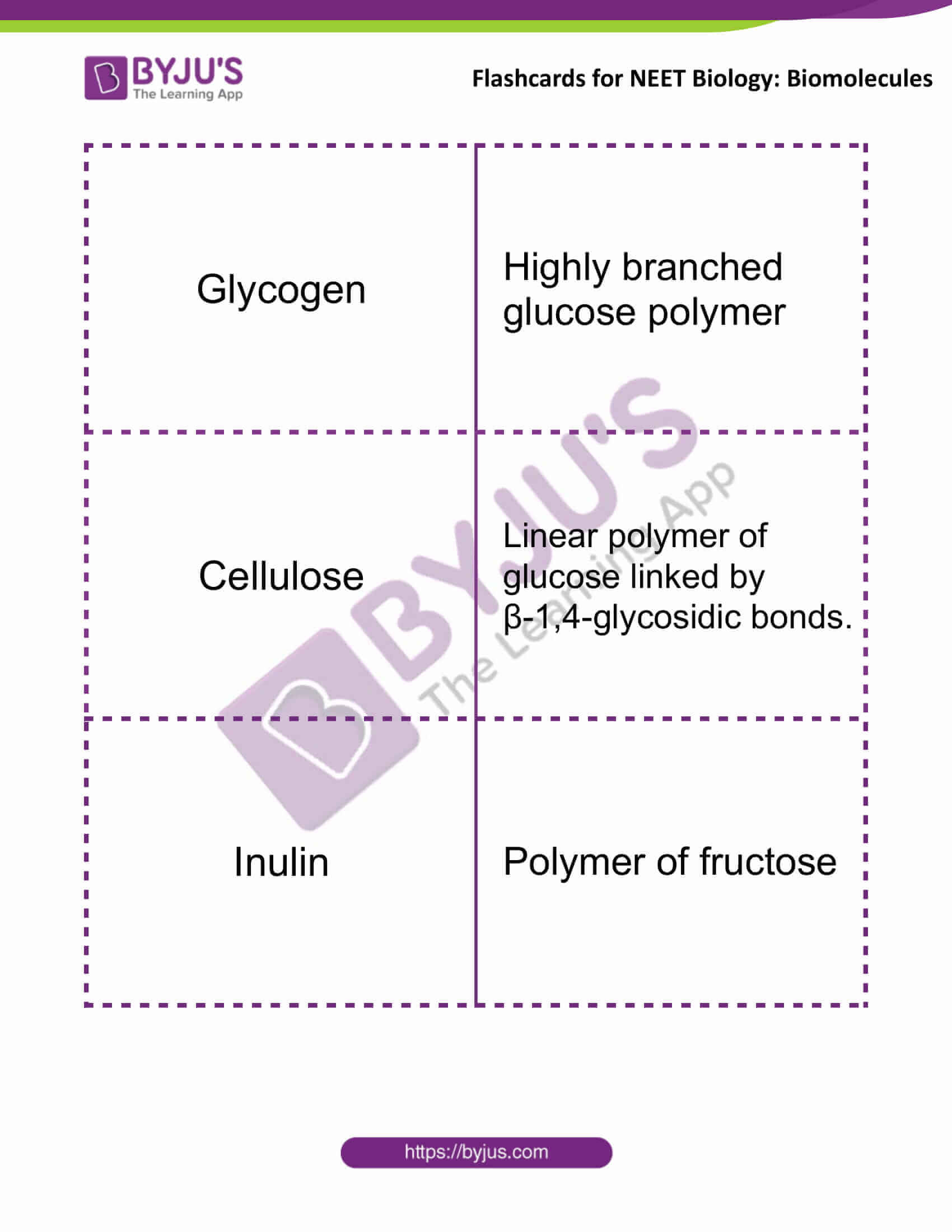 flashcards for neet biology biomolecules 5