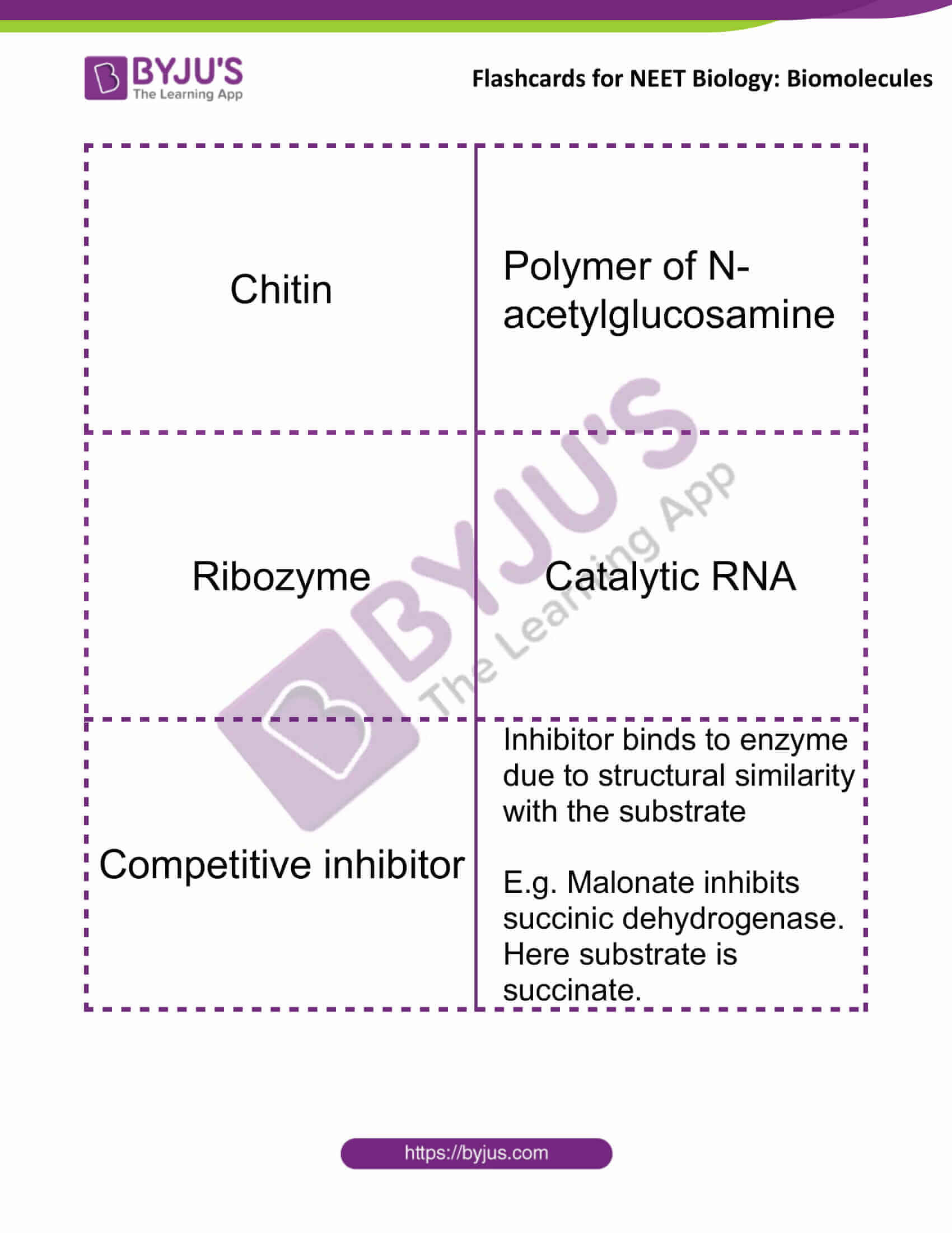 Biomolecules Flashcards for NEET Biology