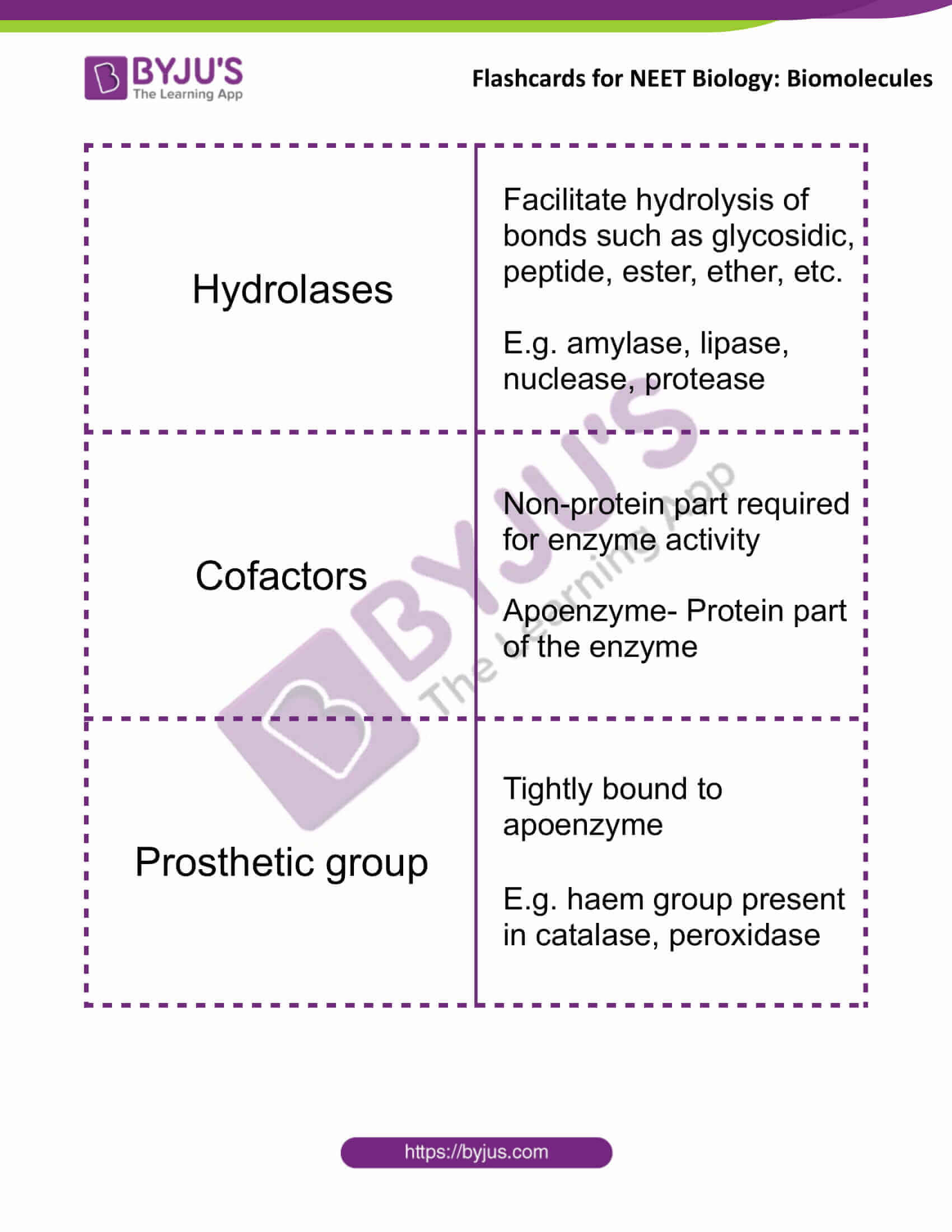 flashcards for neet biology biomolecules 7