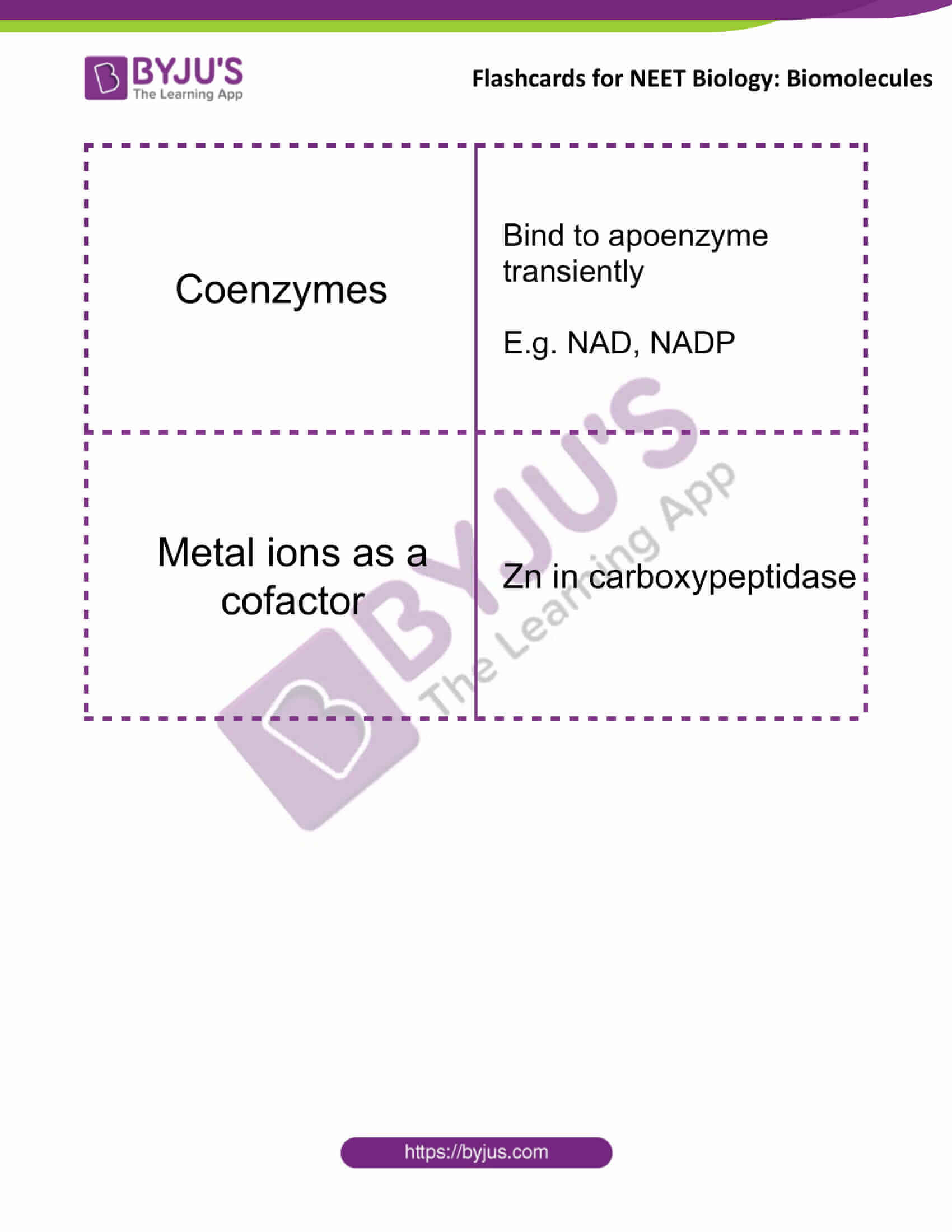 flashcards for neet biology biomolecules 8