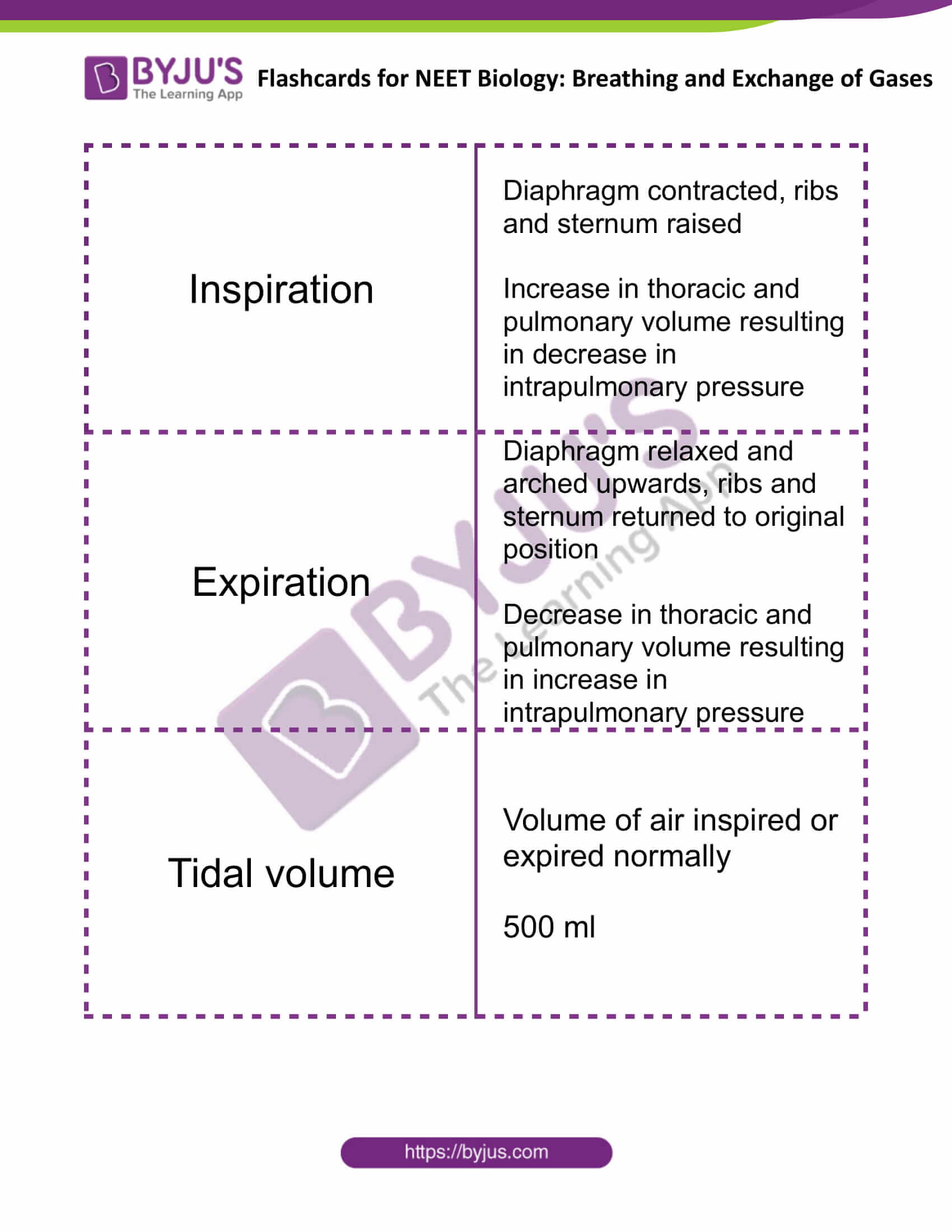 flashcards for neet biology breathing and exchange of gases 1