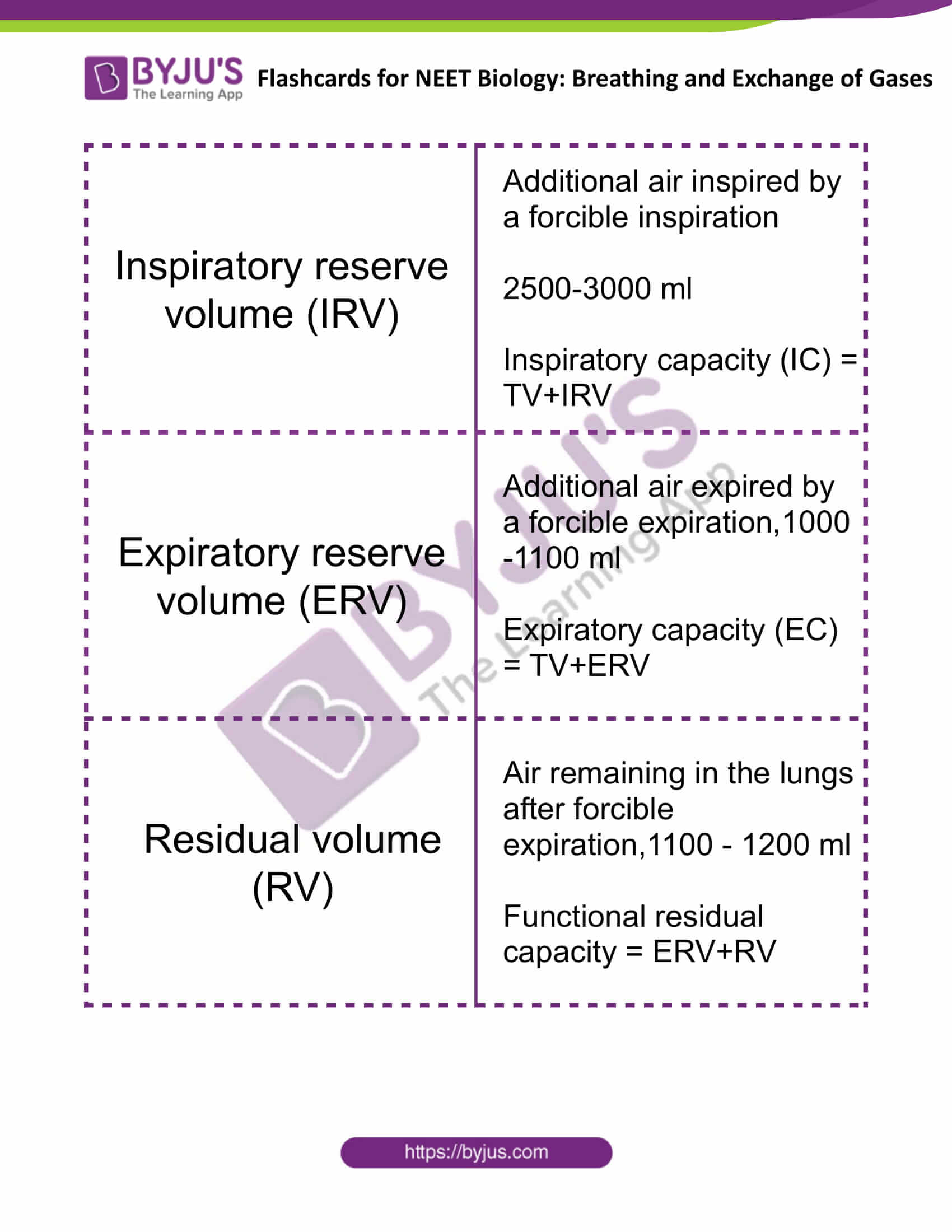 flashcards for neet biology breathing and exchange of gases 2