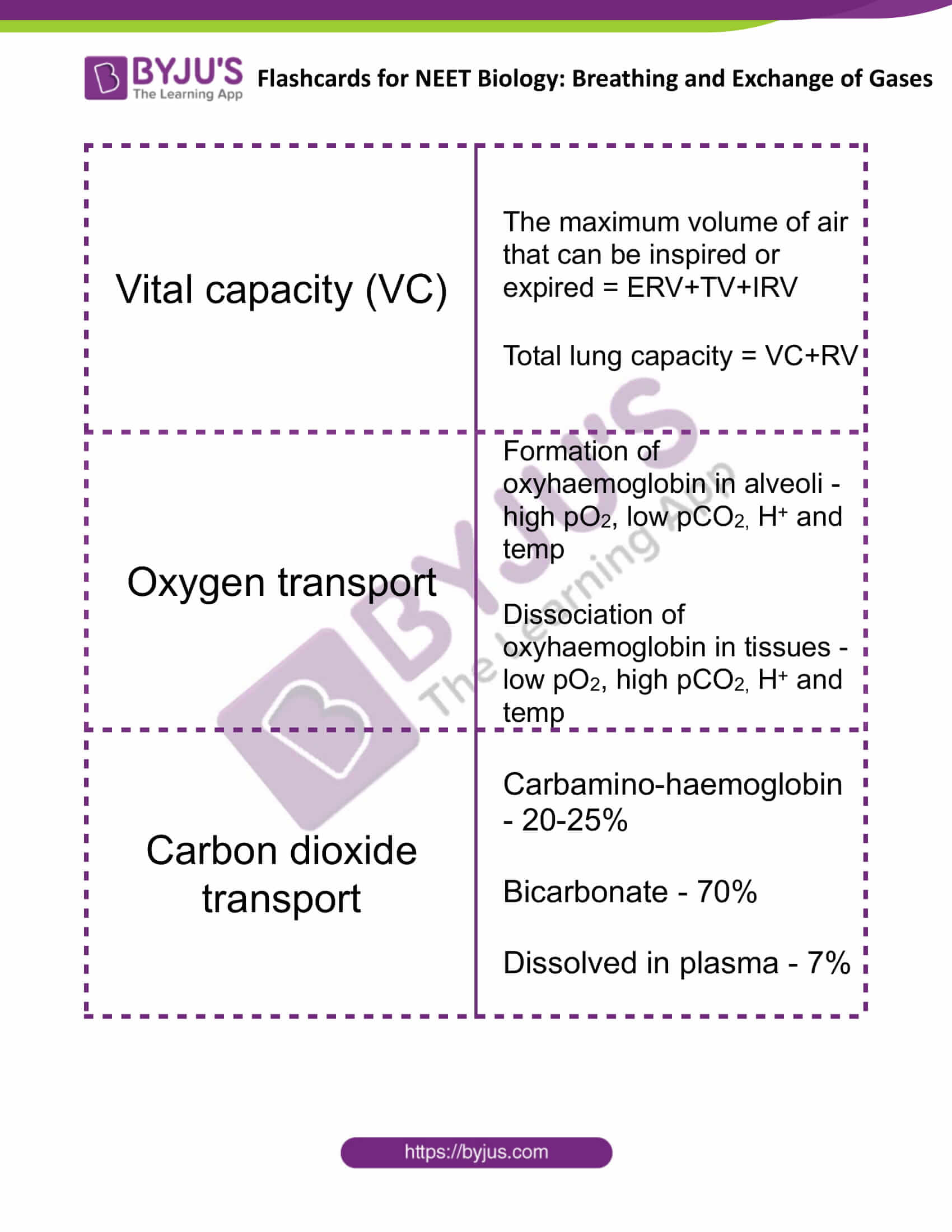 flashcards for neet biology breathing and exchange of gases 3