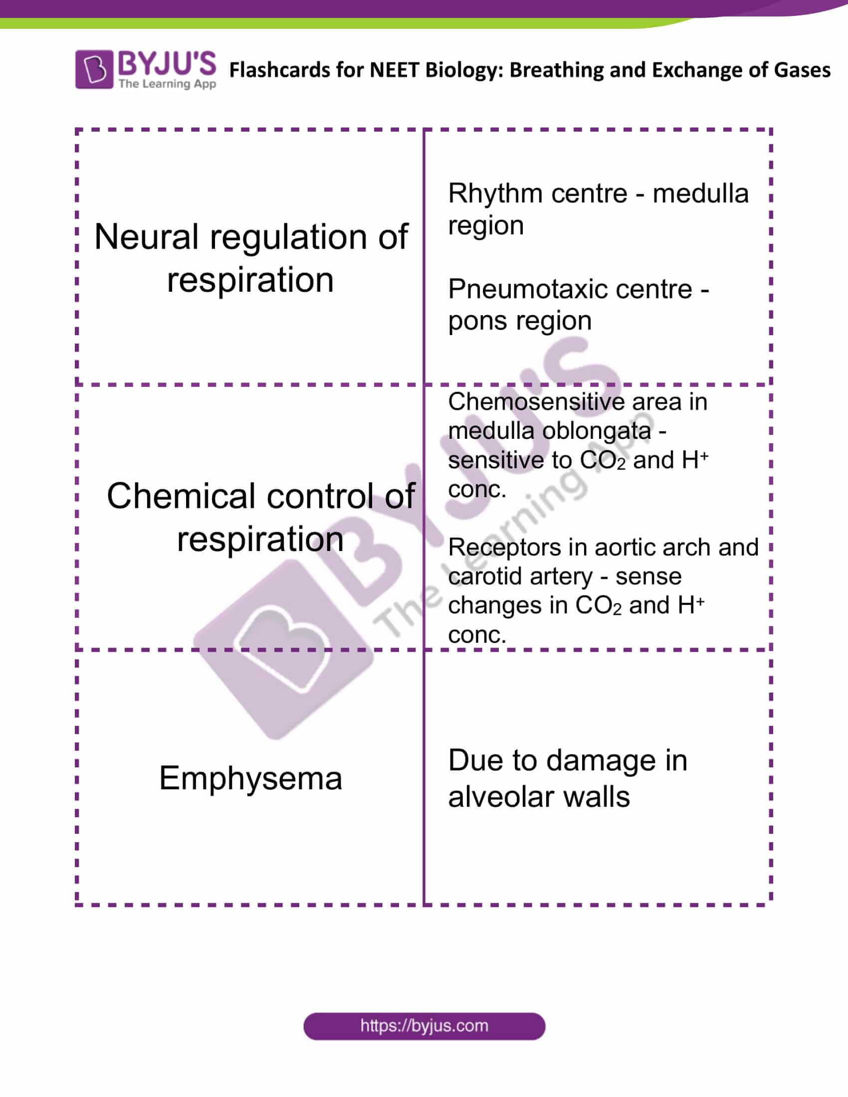 flashcards for neet biology breathing and exchange of gases 4