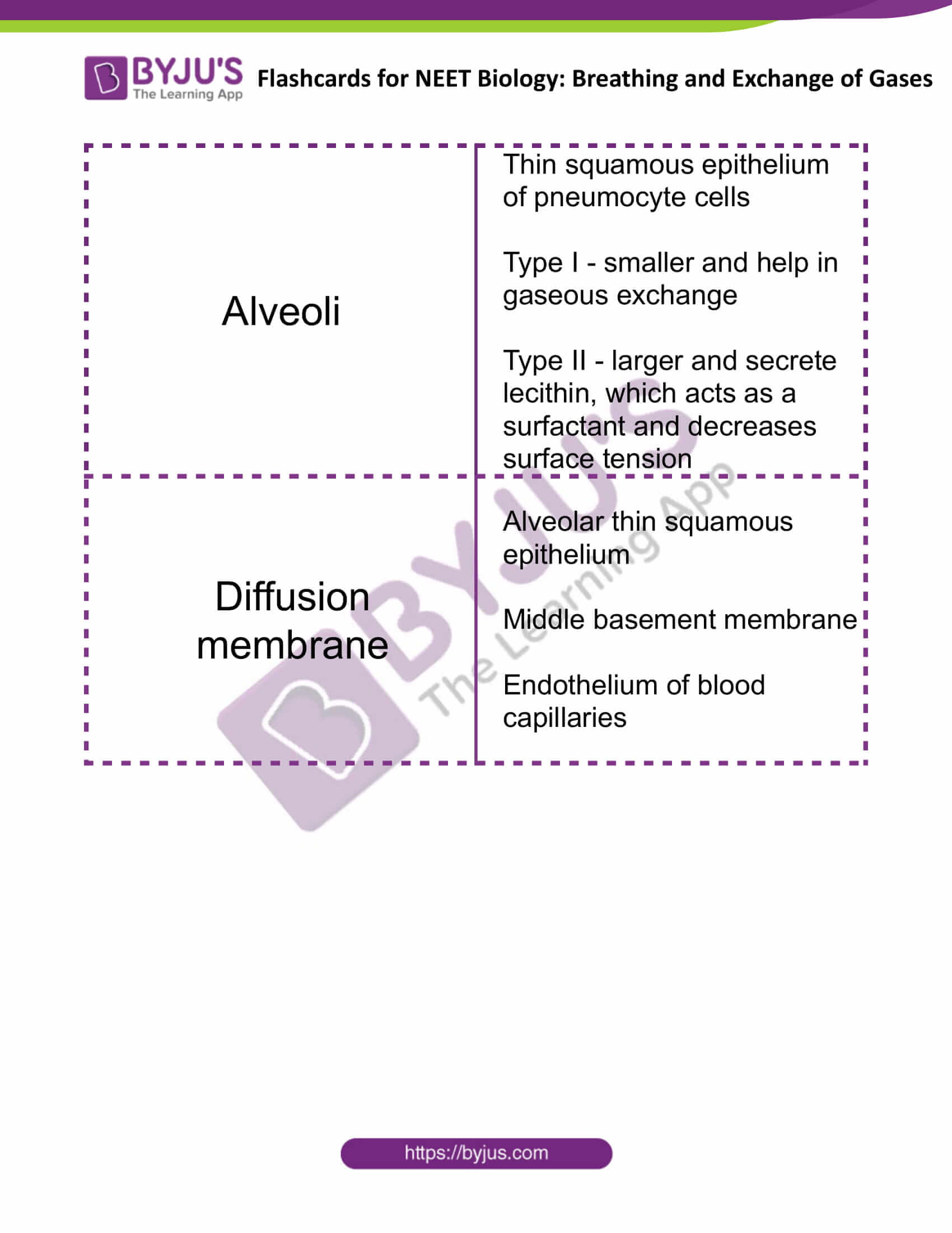 Breathing pattern Flashcards