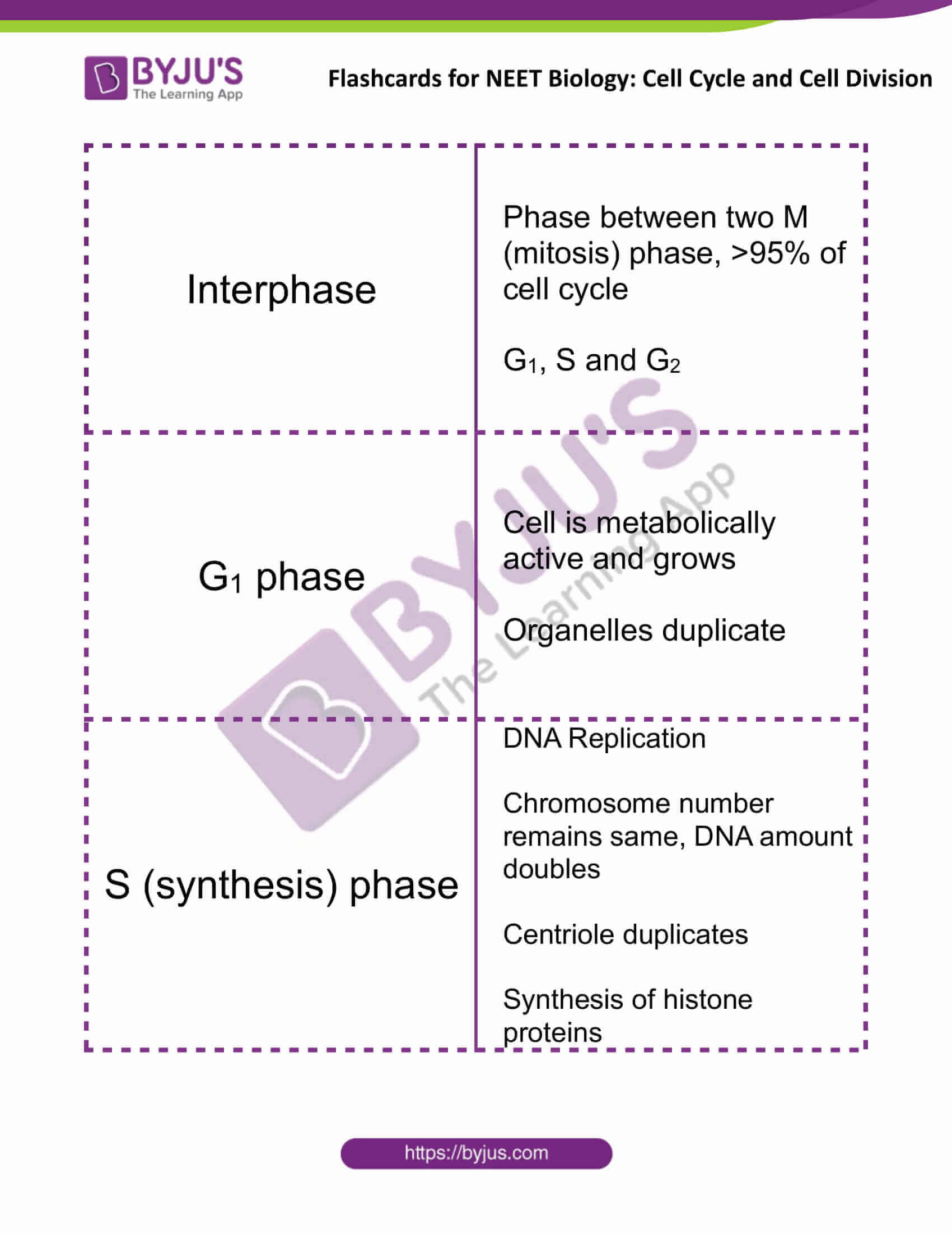 cell cycle concept map mitosis