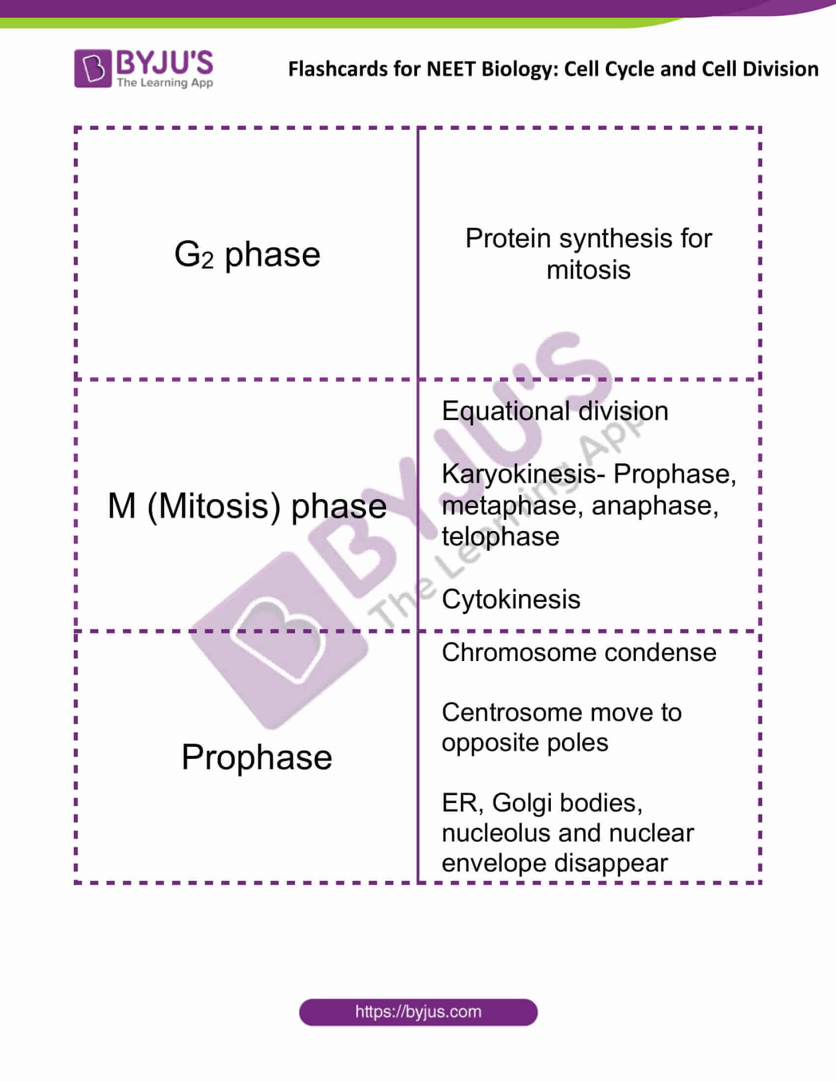 flashcards for neet biology cell cycle and cell division 2