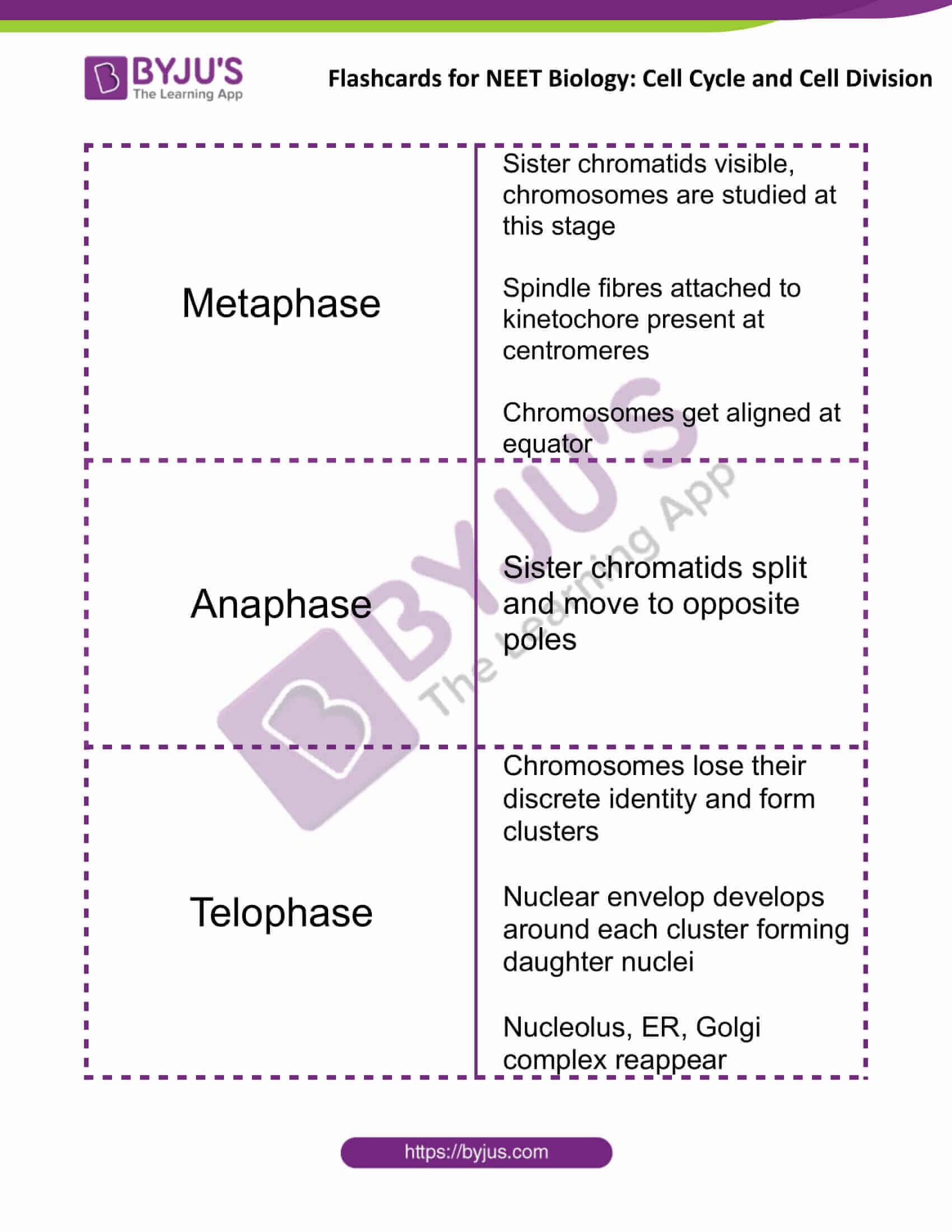 Cell Cycle Order