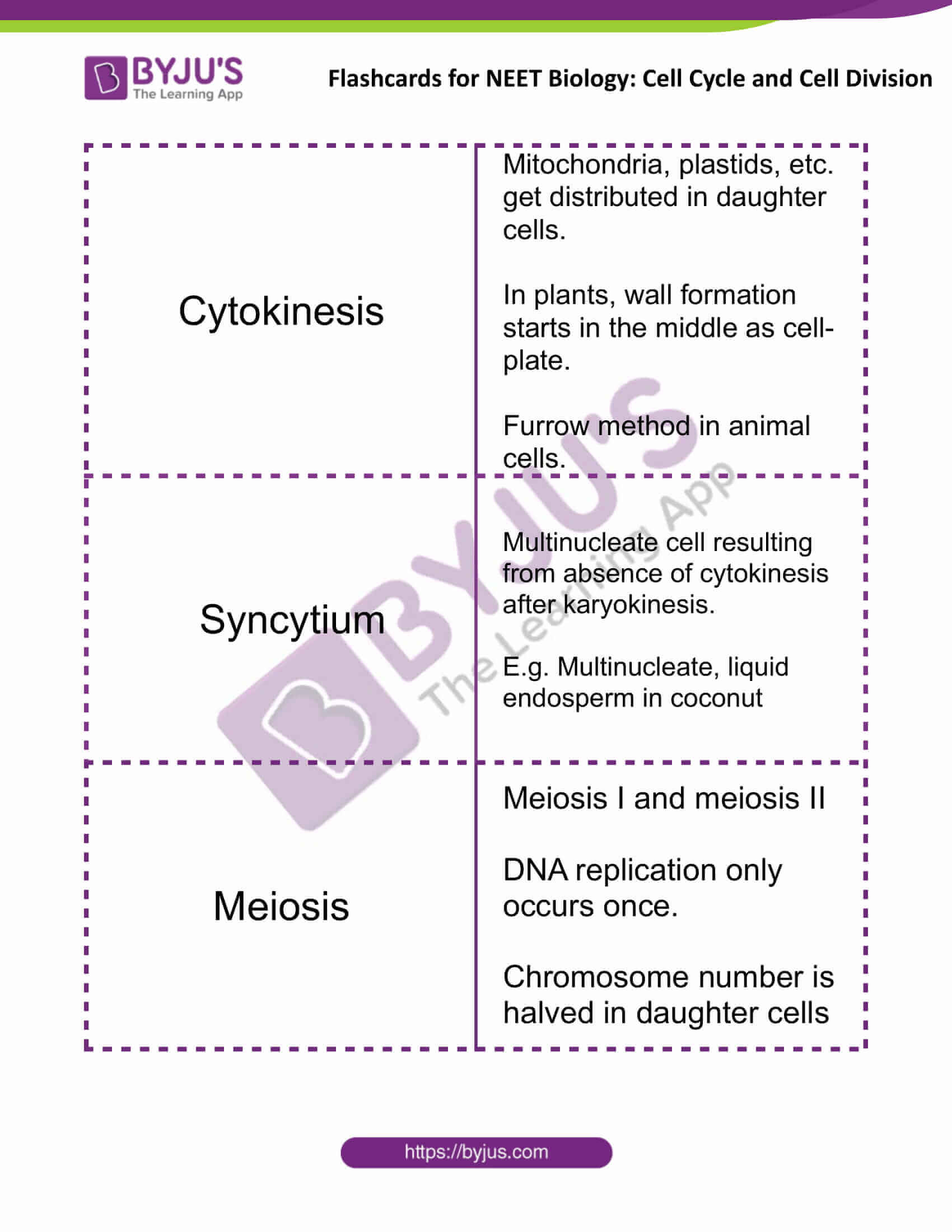 flashcards for neet biology cell cycle and cell division 4