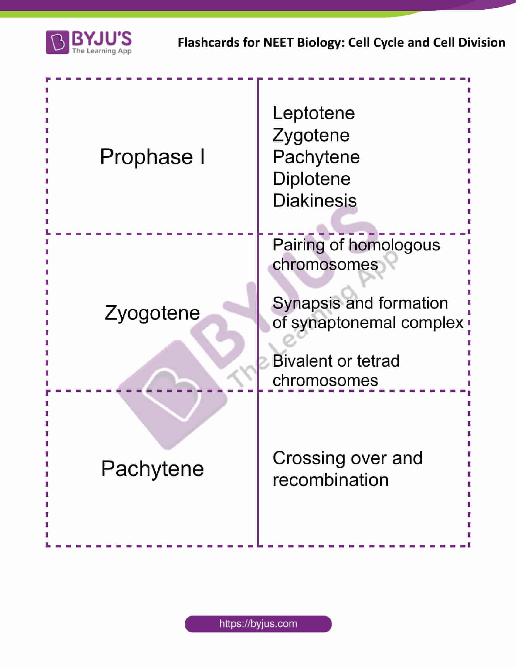 flashcards for neet biology cell cycle and cell division 5