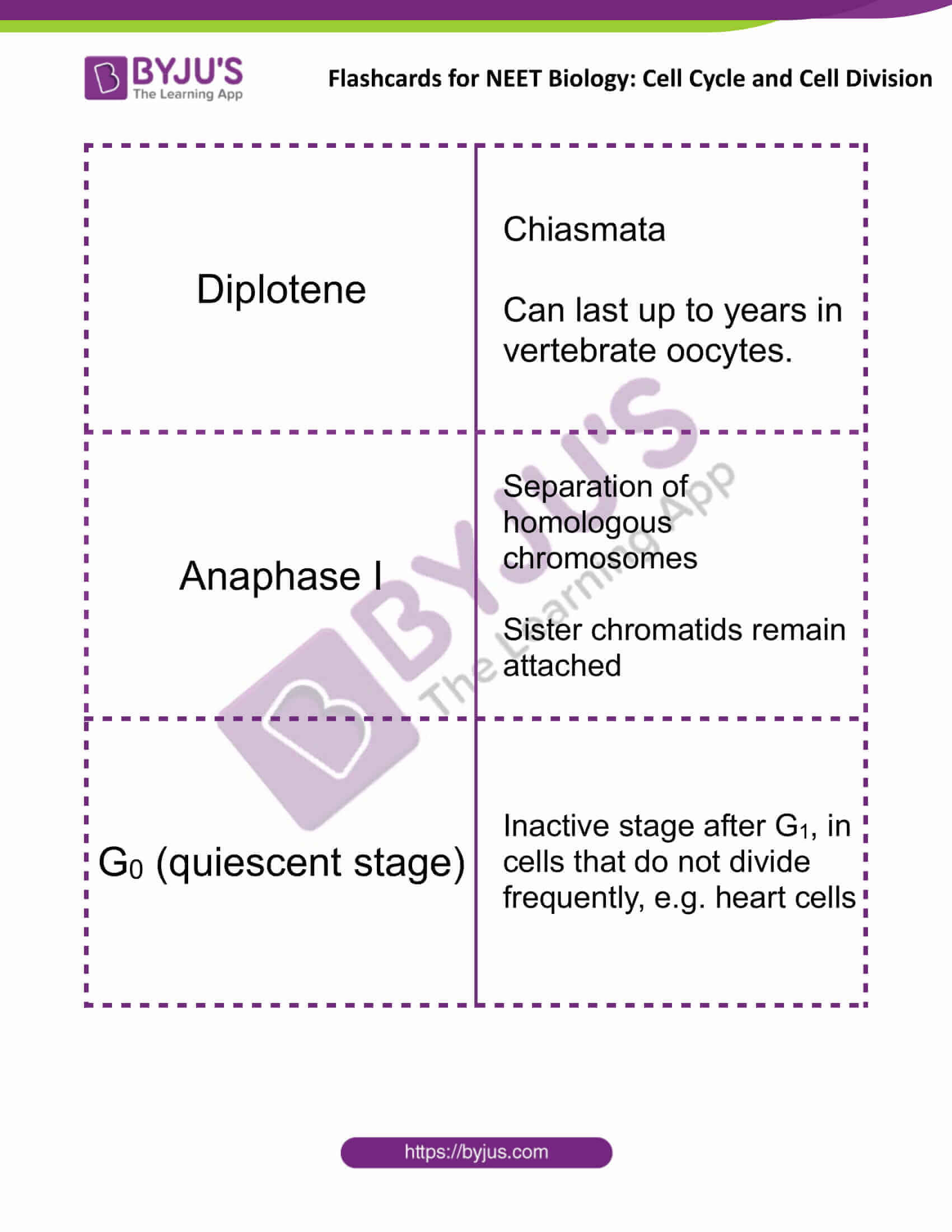 flashcards for neet biology cell cycle and cell division 6