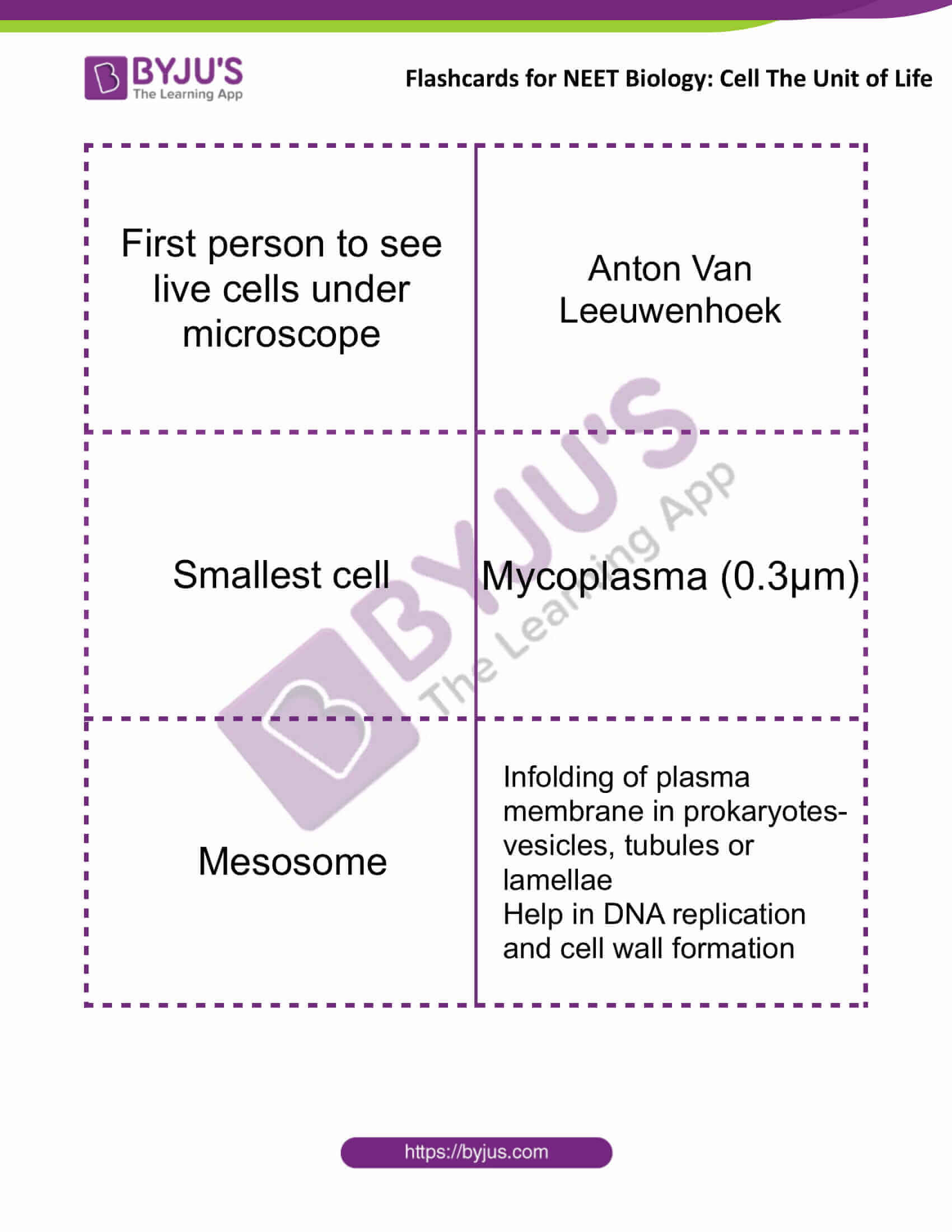 flashcards for neet biology cell the unit of life 2