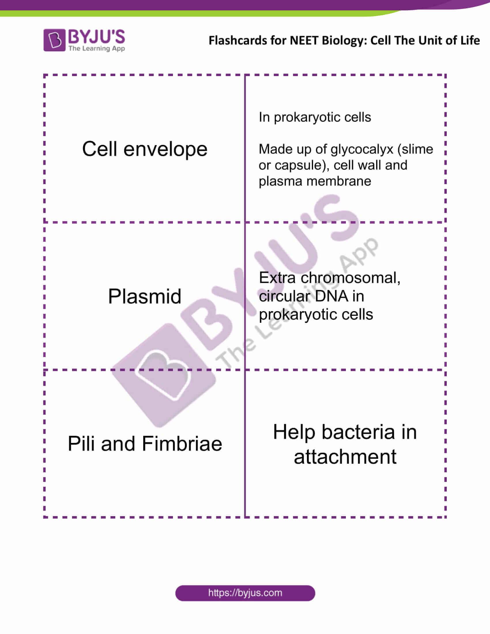 Cell The Unit of Life Flashcards for NEET Biology