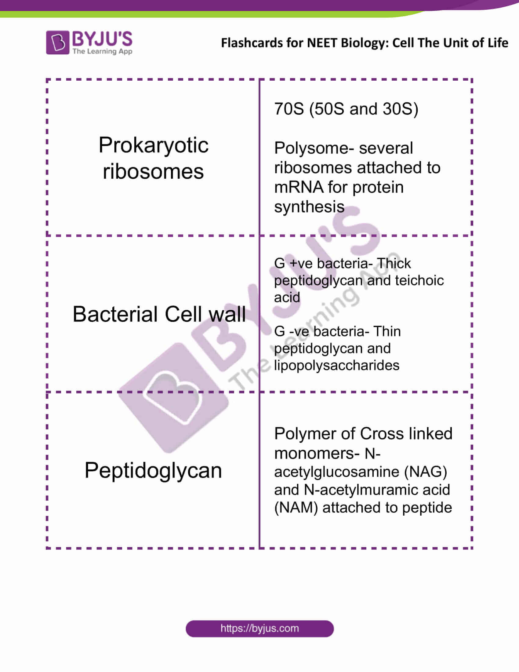 flashcards for neet biology cell the unit of life 4