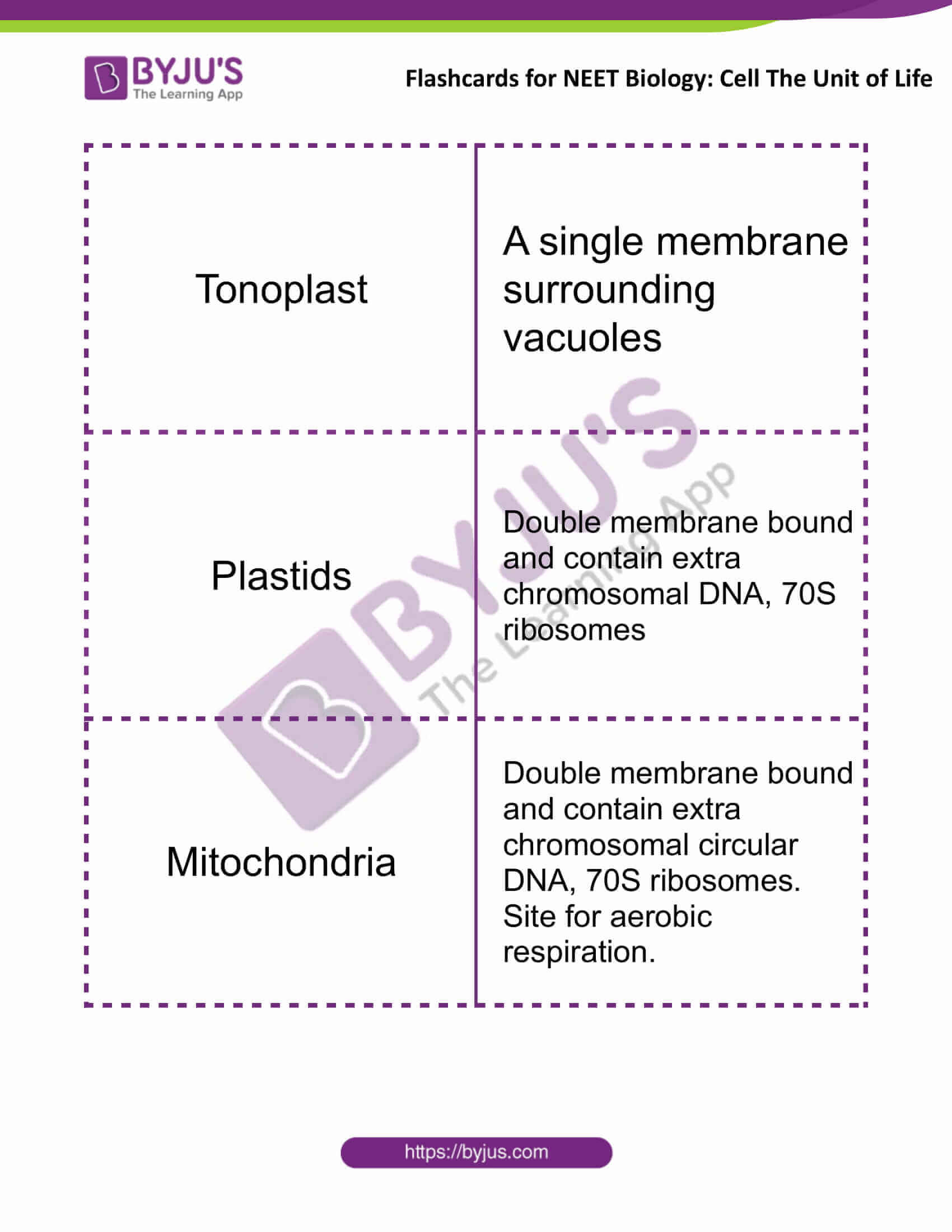 flashcards for neet biology cell the unit of life 6