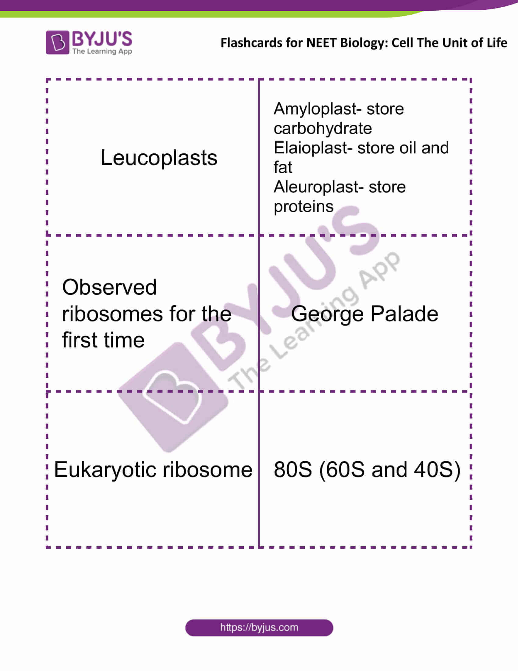 flashcards for neet biology cell the unit of life 7