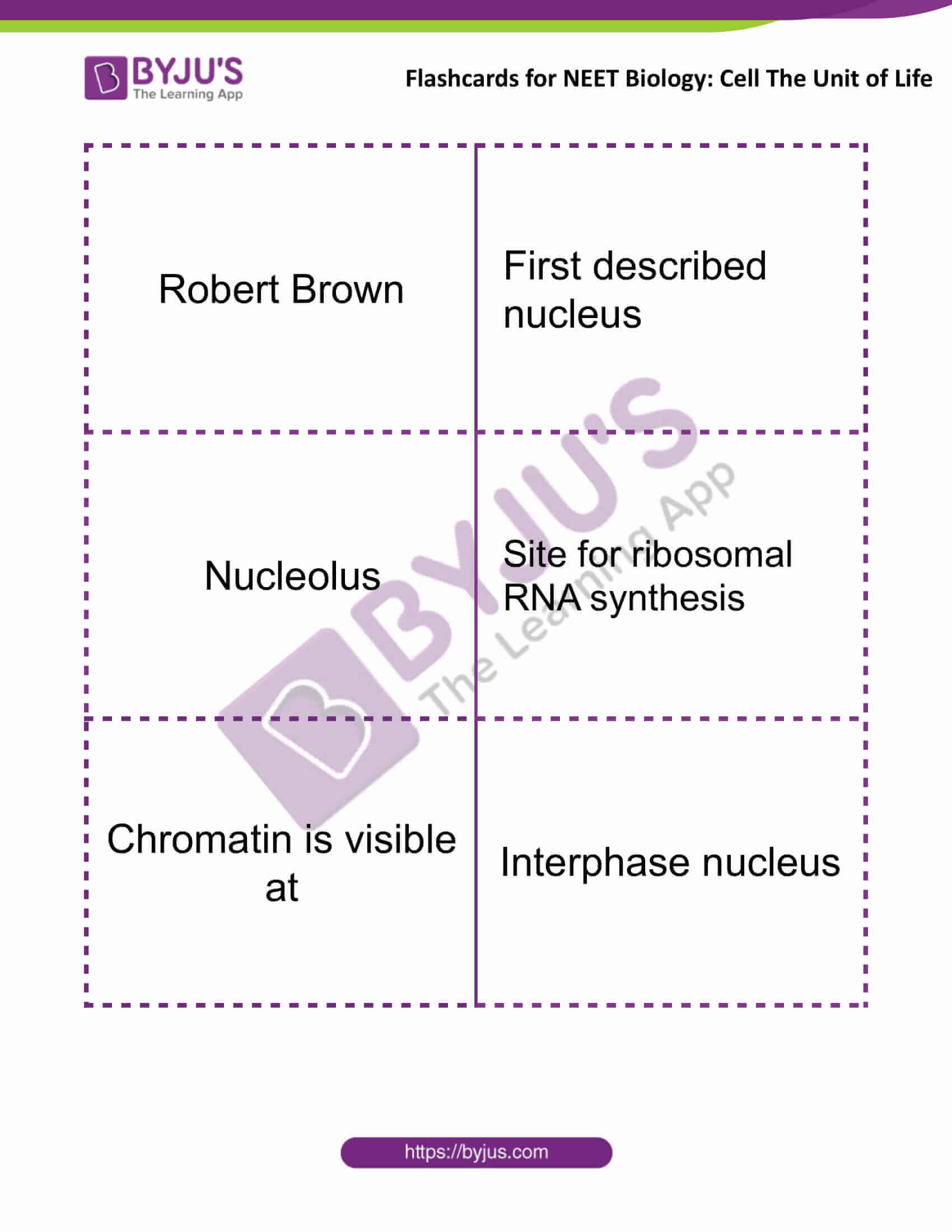 flashcards for neet biology cell the unit of life 8