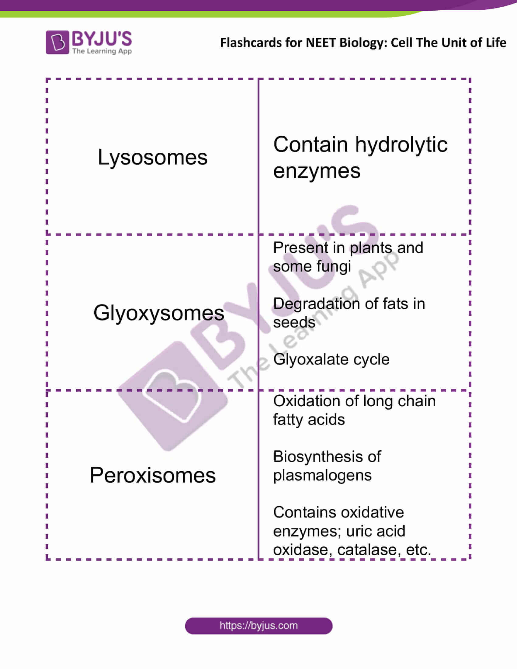 flashcards for neet biology cell the unit of life 9