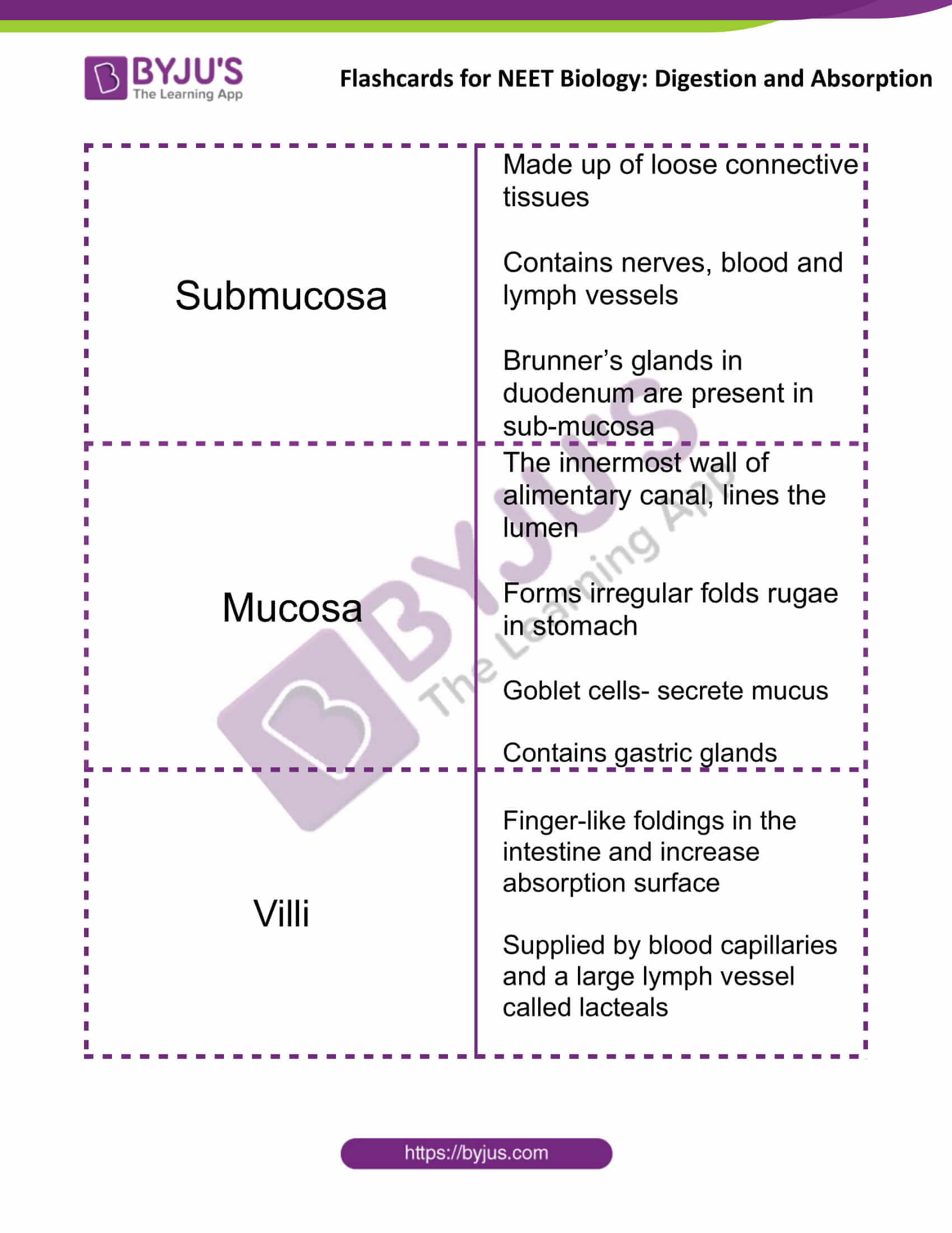 flashcards for neet biology digestion and absorption 04