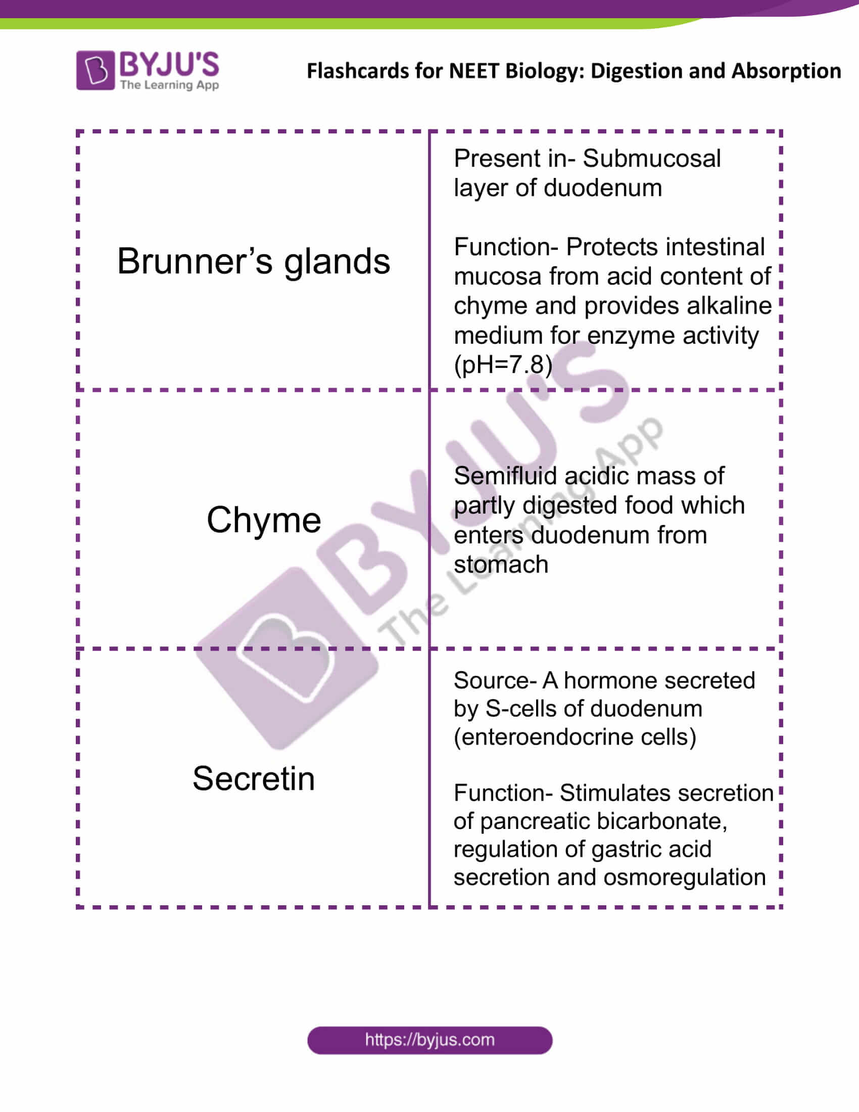 flashcards for neet biology digestion and absorption 08