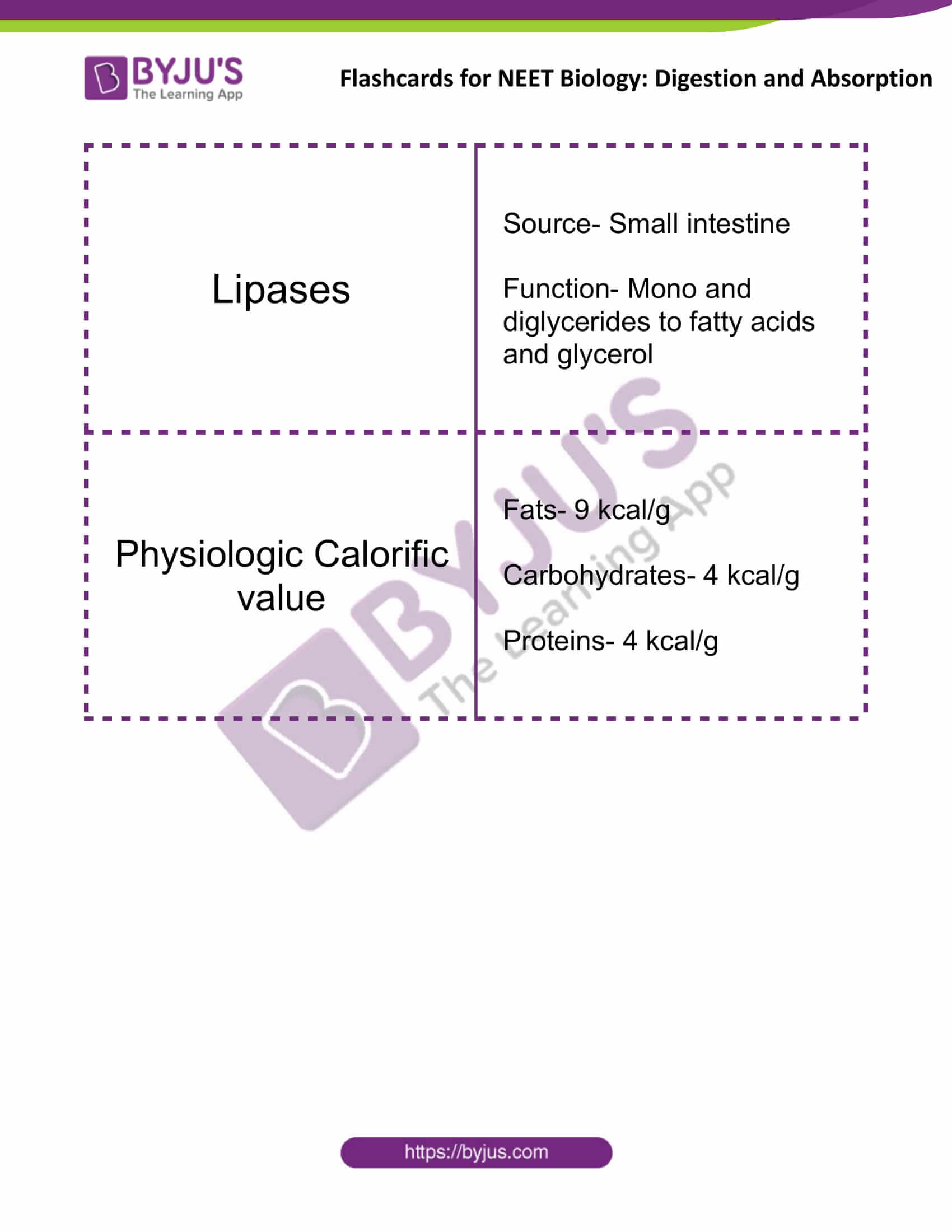 flashcards for neet biology digestion and absorption 15