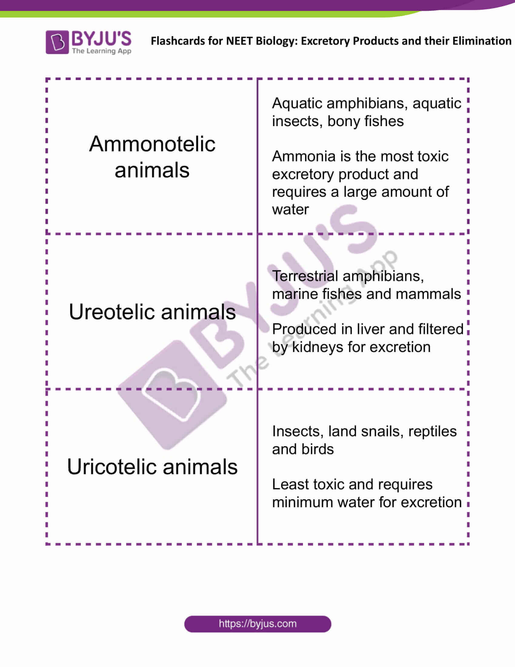 flashcards for neet biology excretory products and their elimination 1