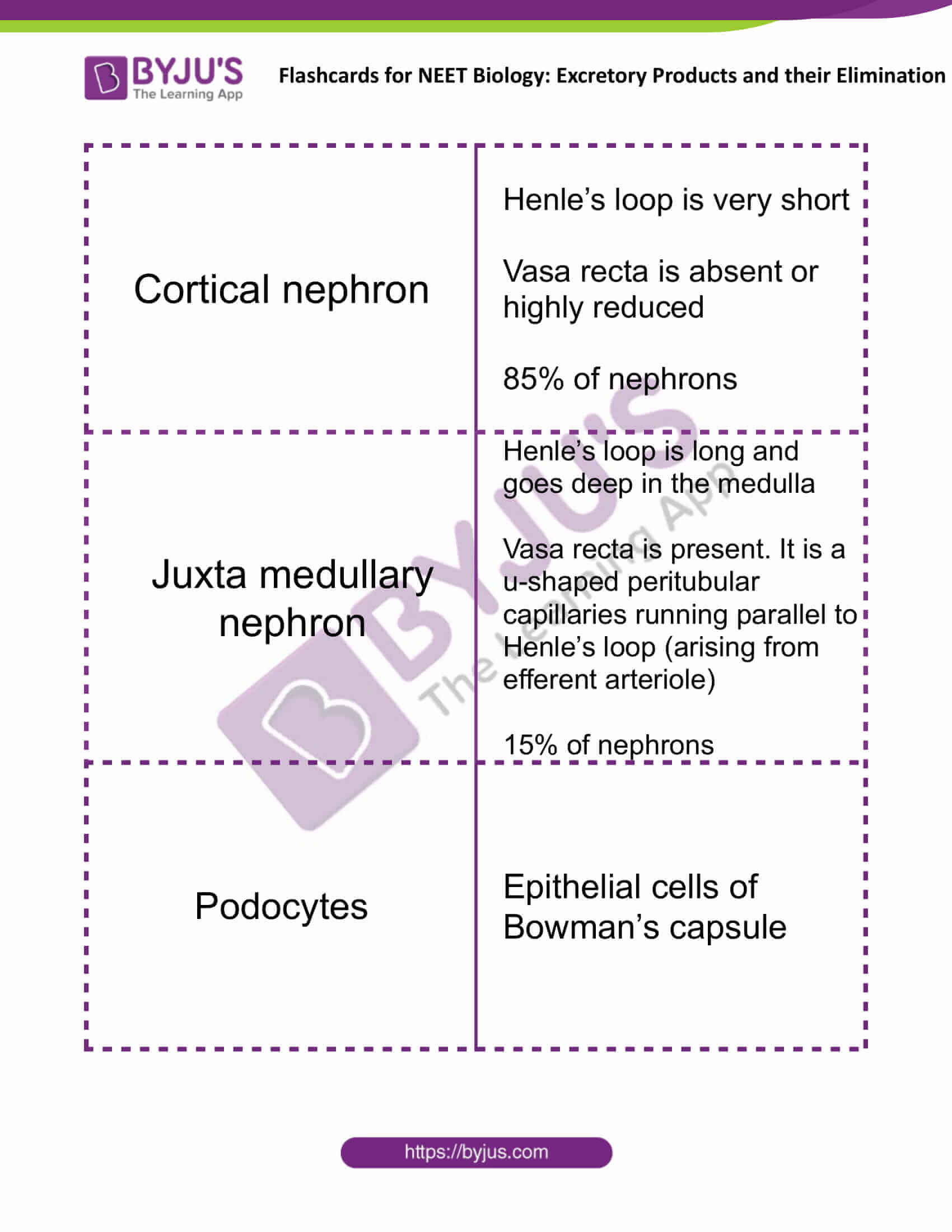 flashcards for neet biology excretory products and their elimination 4