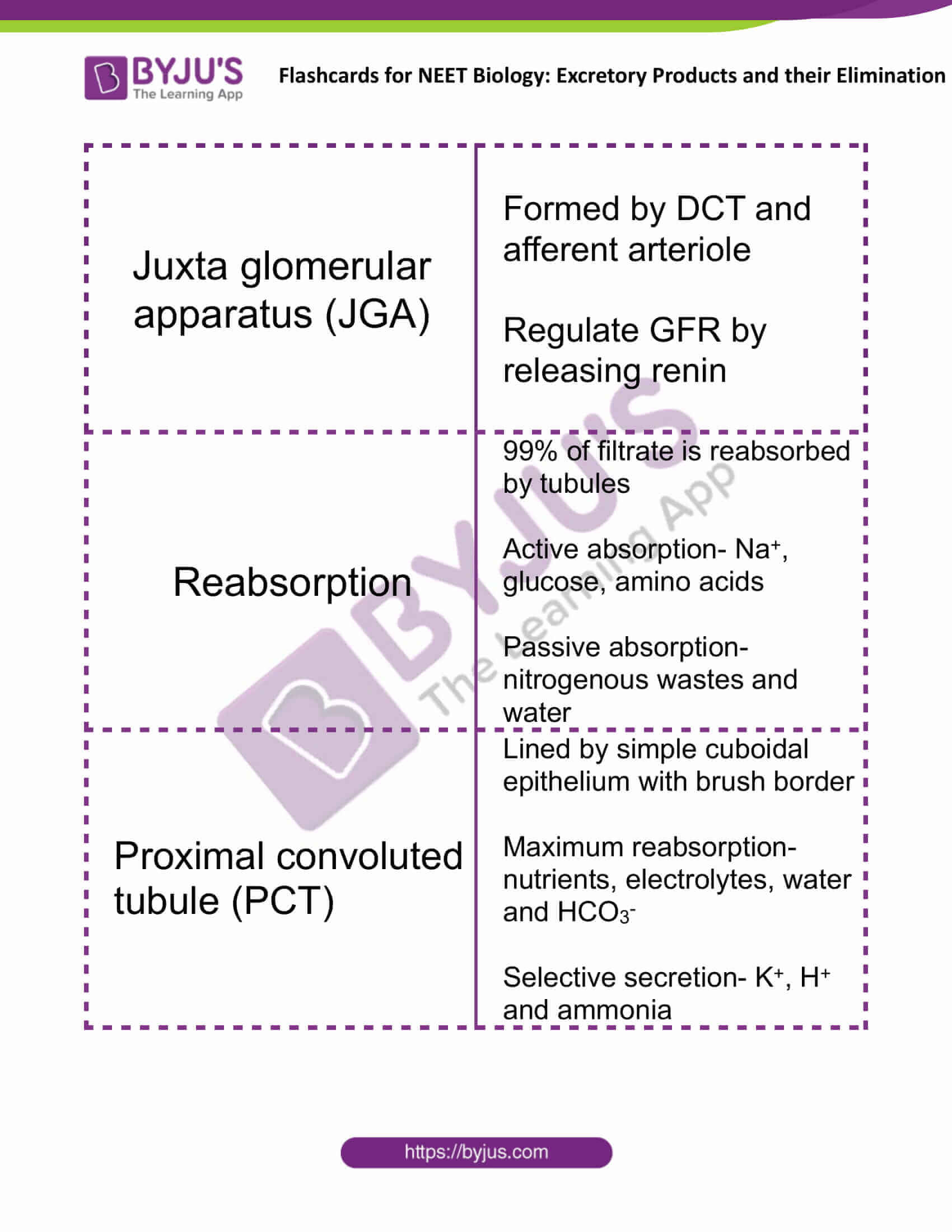 flashcards for neet biology excretory products and their elimination 5