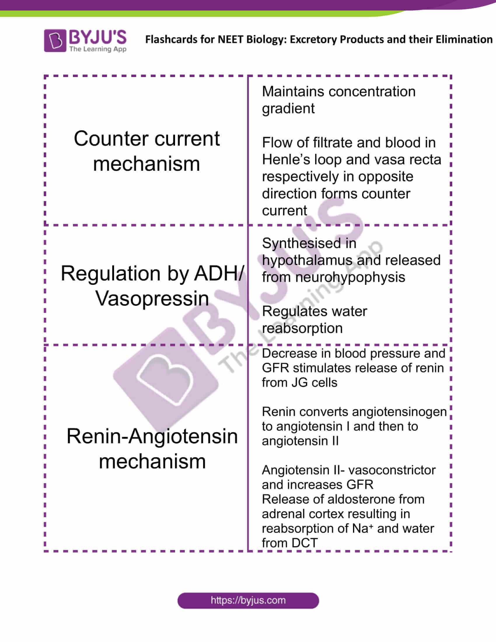 flashcards for neet biology excretory products and their elimination 7