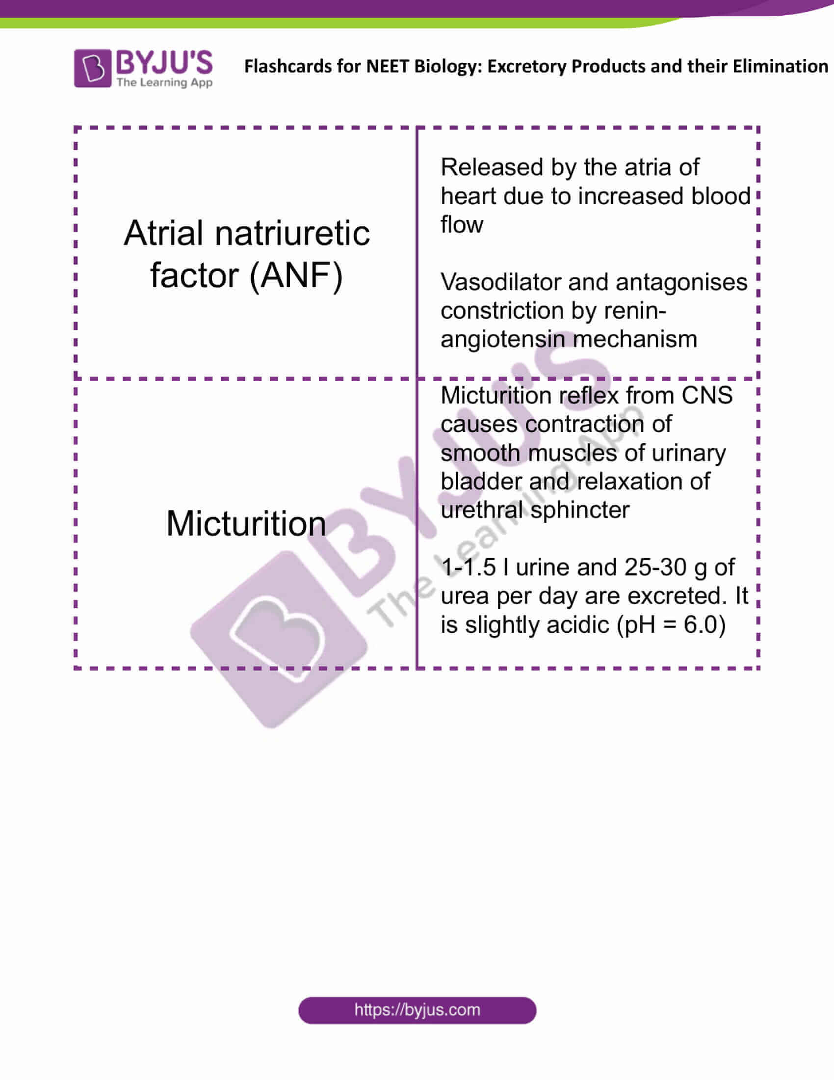 flashcards for neet biology excretory products and their elimination 8