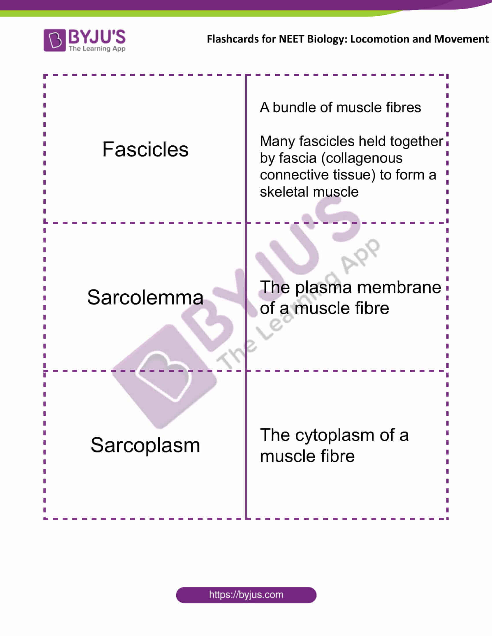 flashcards for neet biology locomotion and movement 01