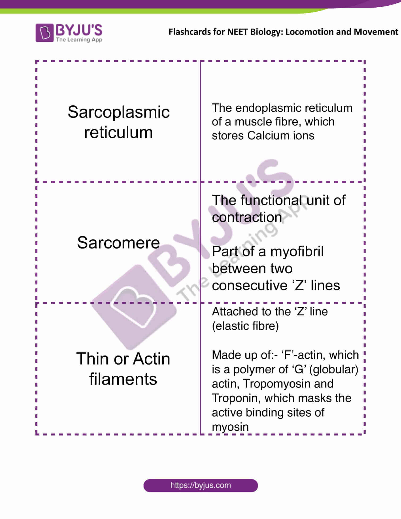 flashcards for neet biology locomotion and movement 02