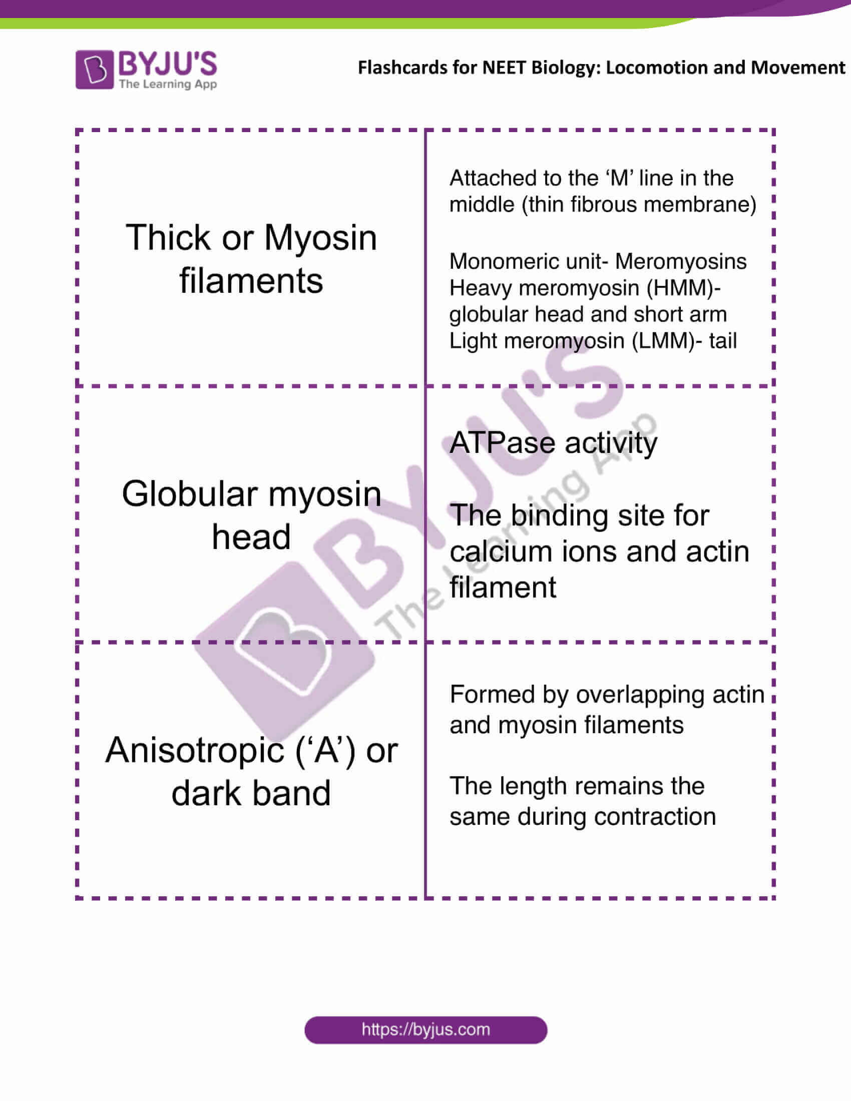 flashcards for neet biology locomotion and movement 03