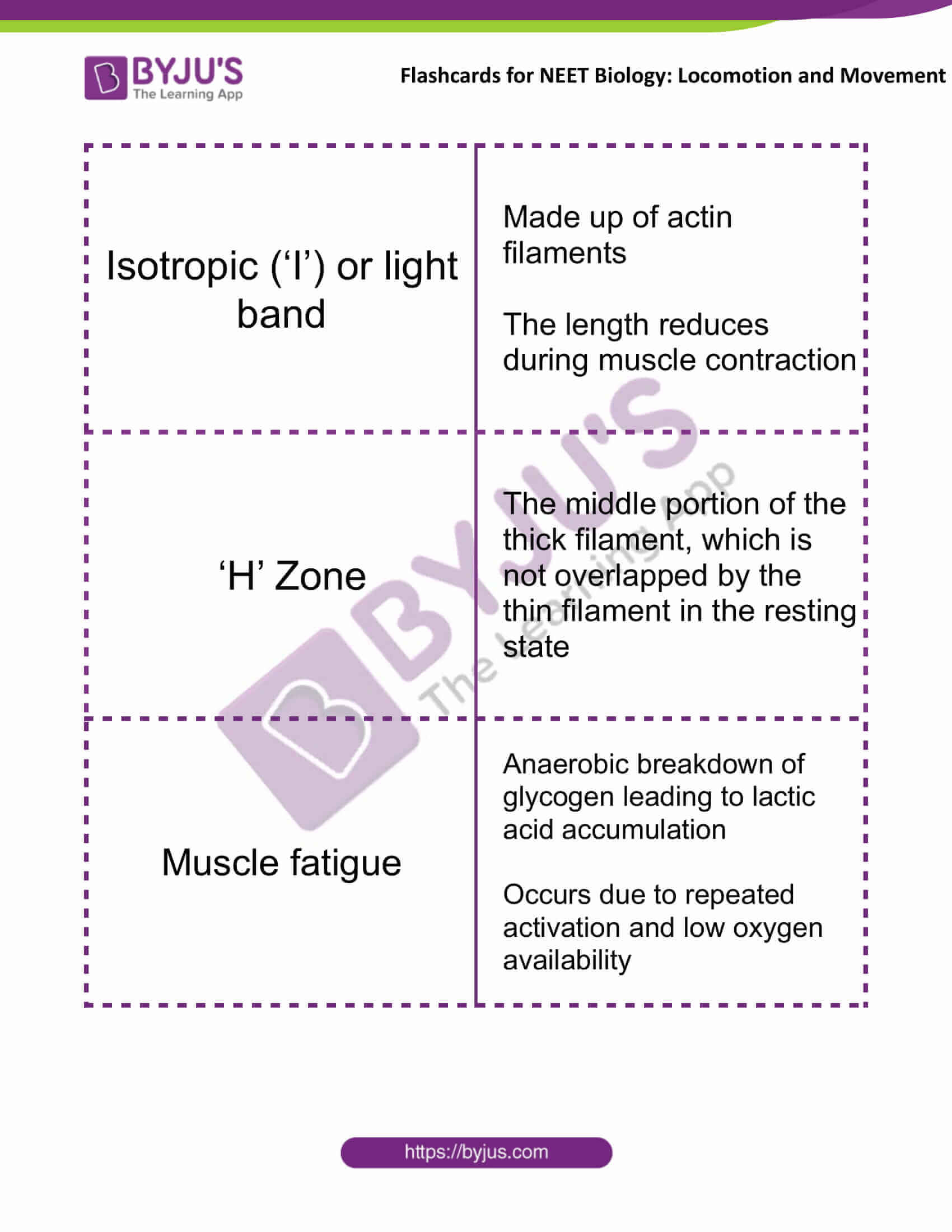 flashcards for neet biology locomotion and movement 04