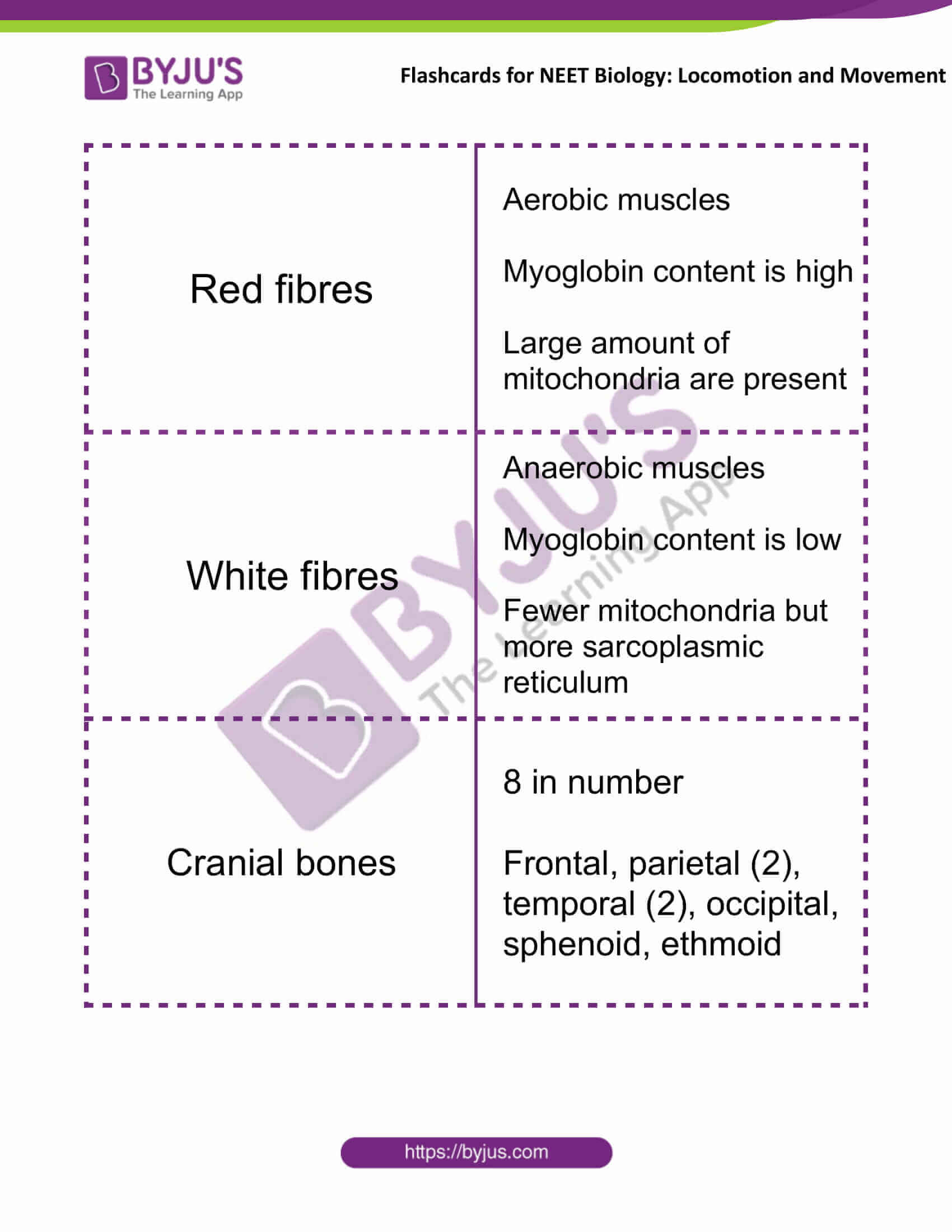 flashcards for neet biology locomotion and movement 05