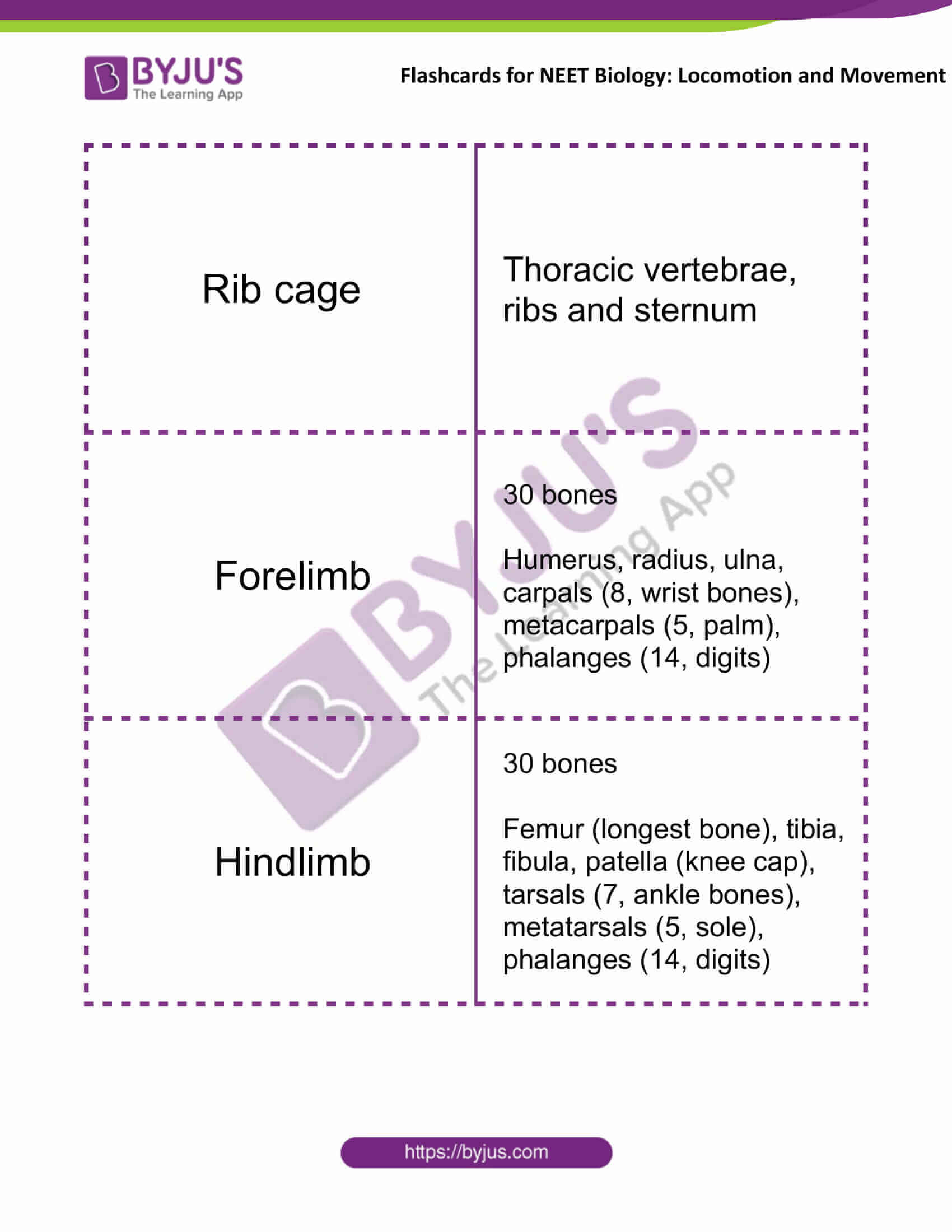 flashcards for neet biology locomotion and movement 08