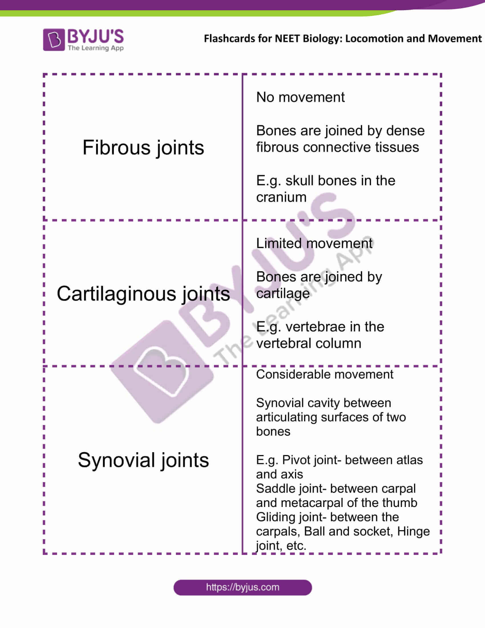 flashcards for neet biology locomotion and movement 10