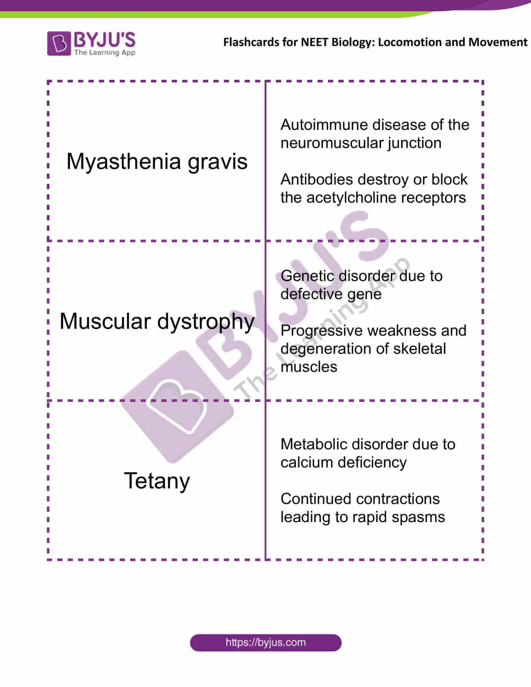 flashcards for neet biology locomotion and movement 11