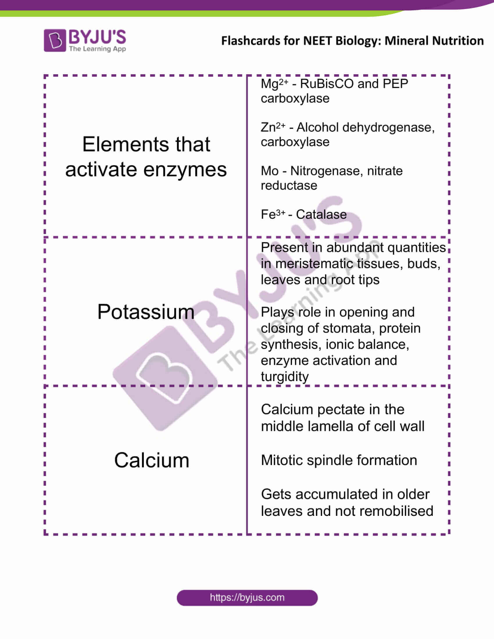 flashcards for neet biology mineral nutrition 02