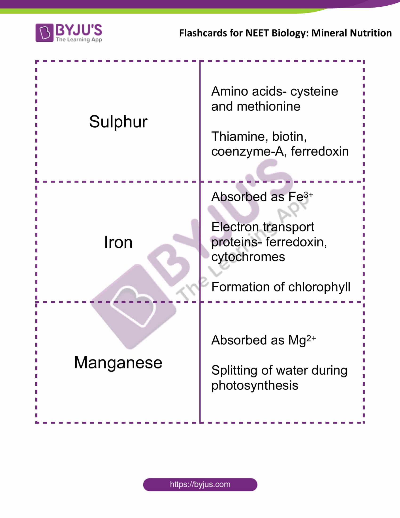 flashcards for neet biology mineral nutrition 03