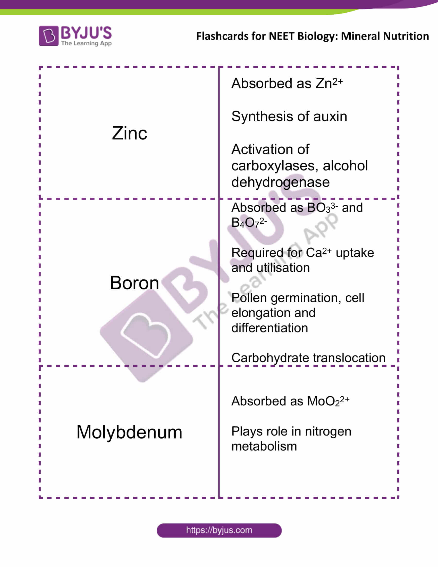 flashcards for neet biology mineral nutrition 04