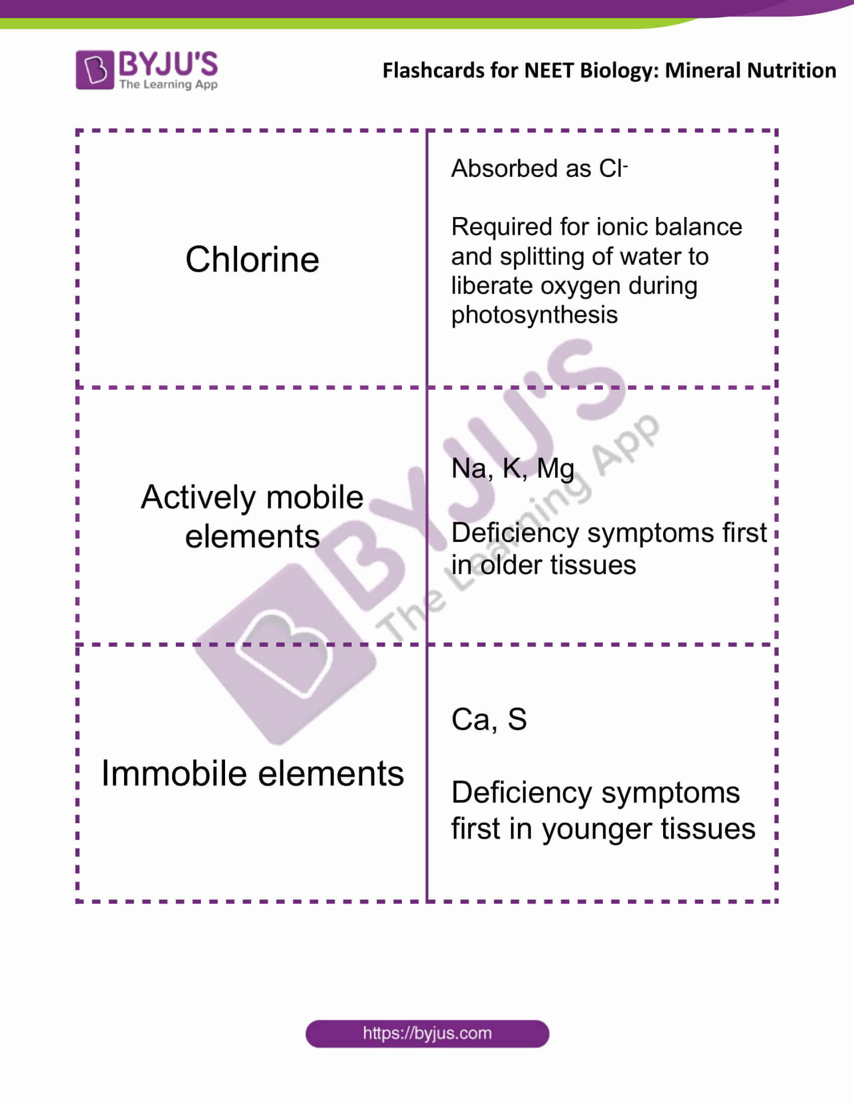 flashcards for neet biology mineral nutrition 05