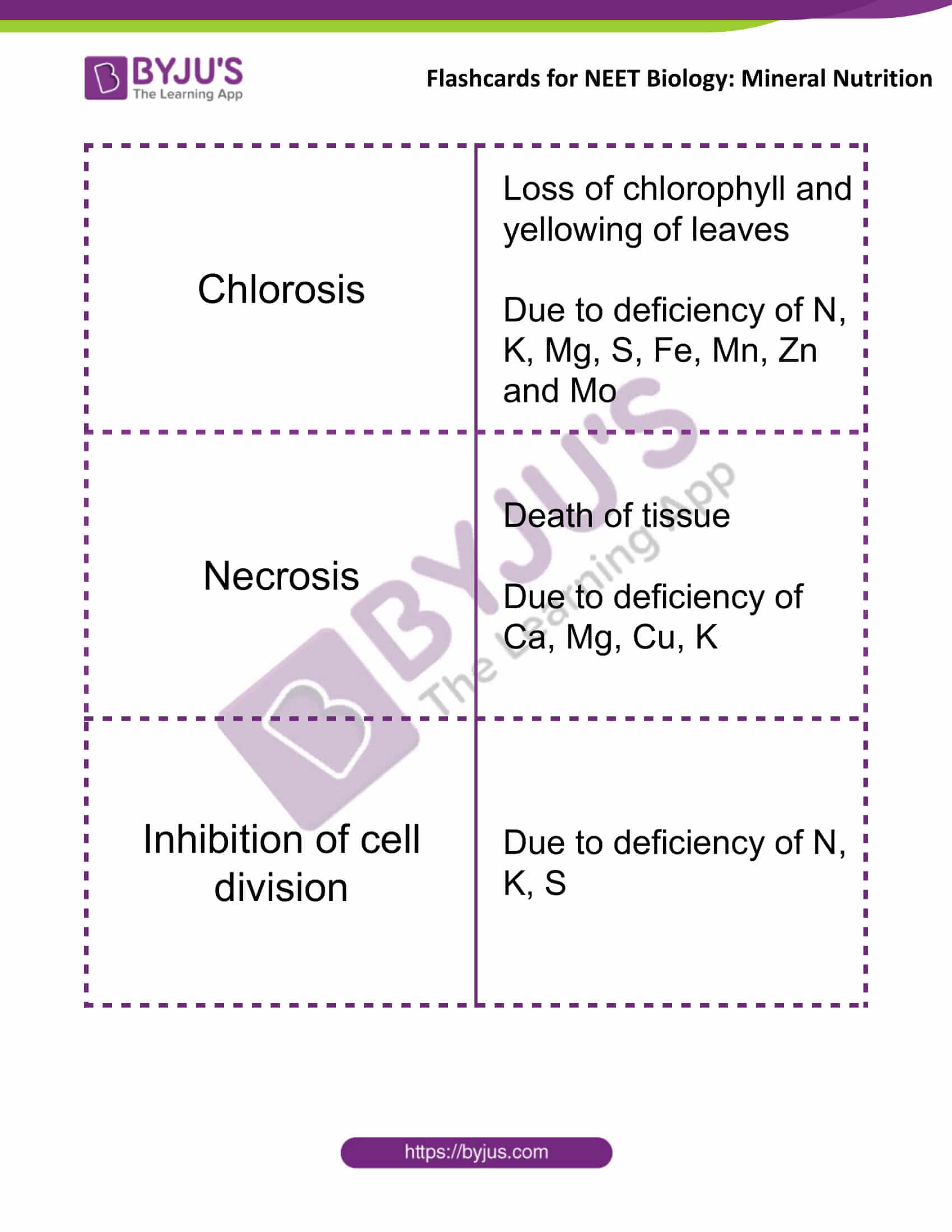 flashcards for neet biology mineral nutrition 06