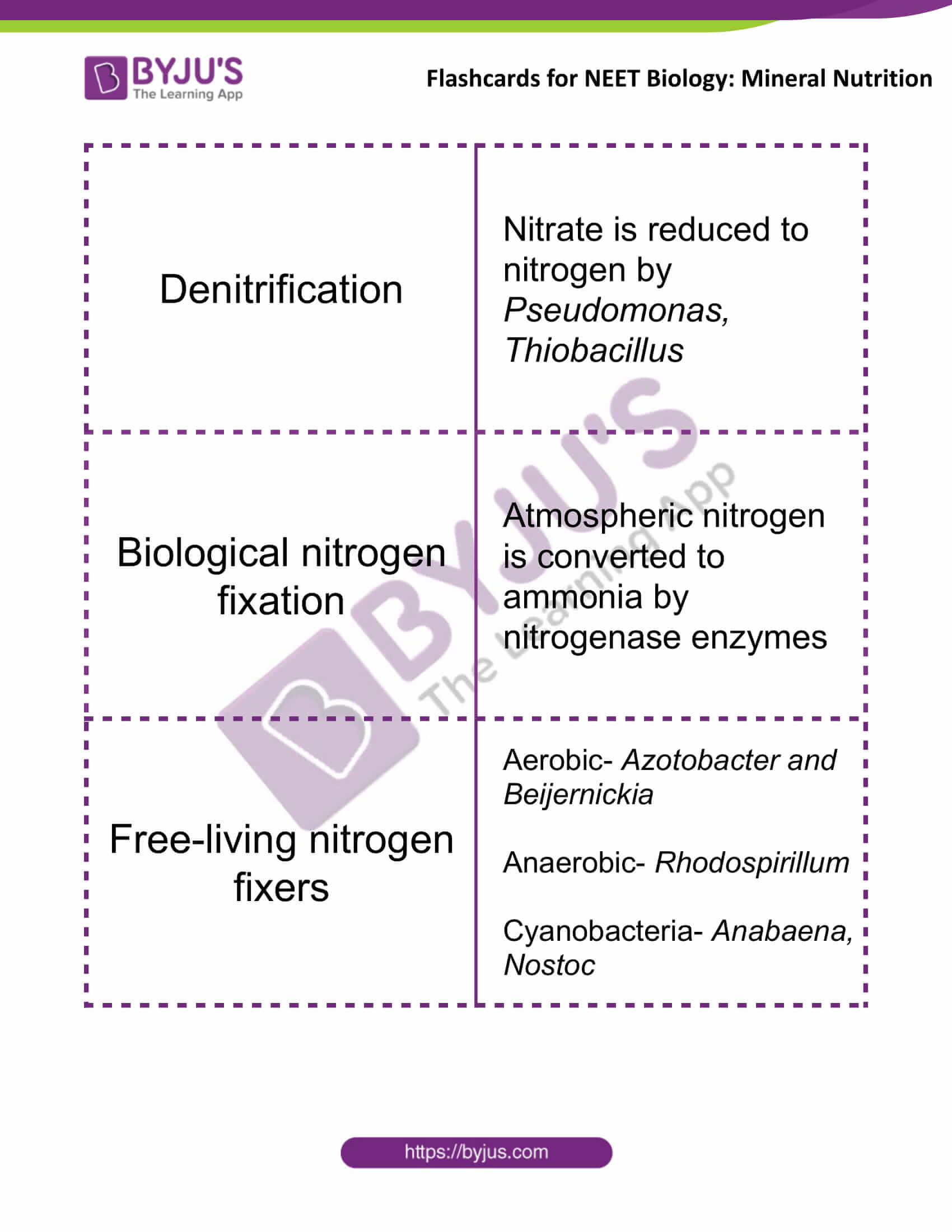 flashcards for neet biology mineral nutrition 08