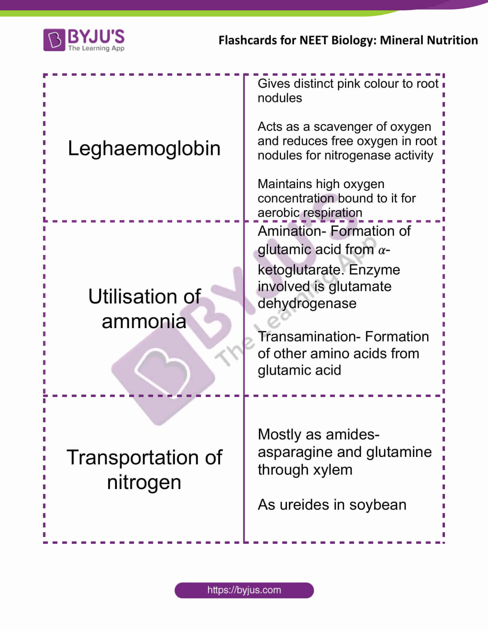 flashcards for neet biology mineral nutrition 10