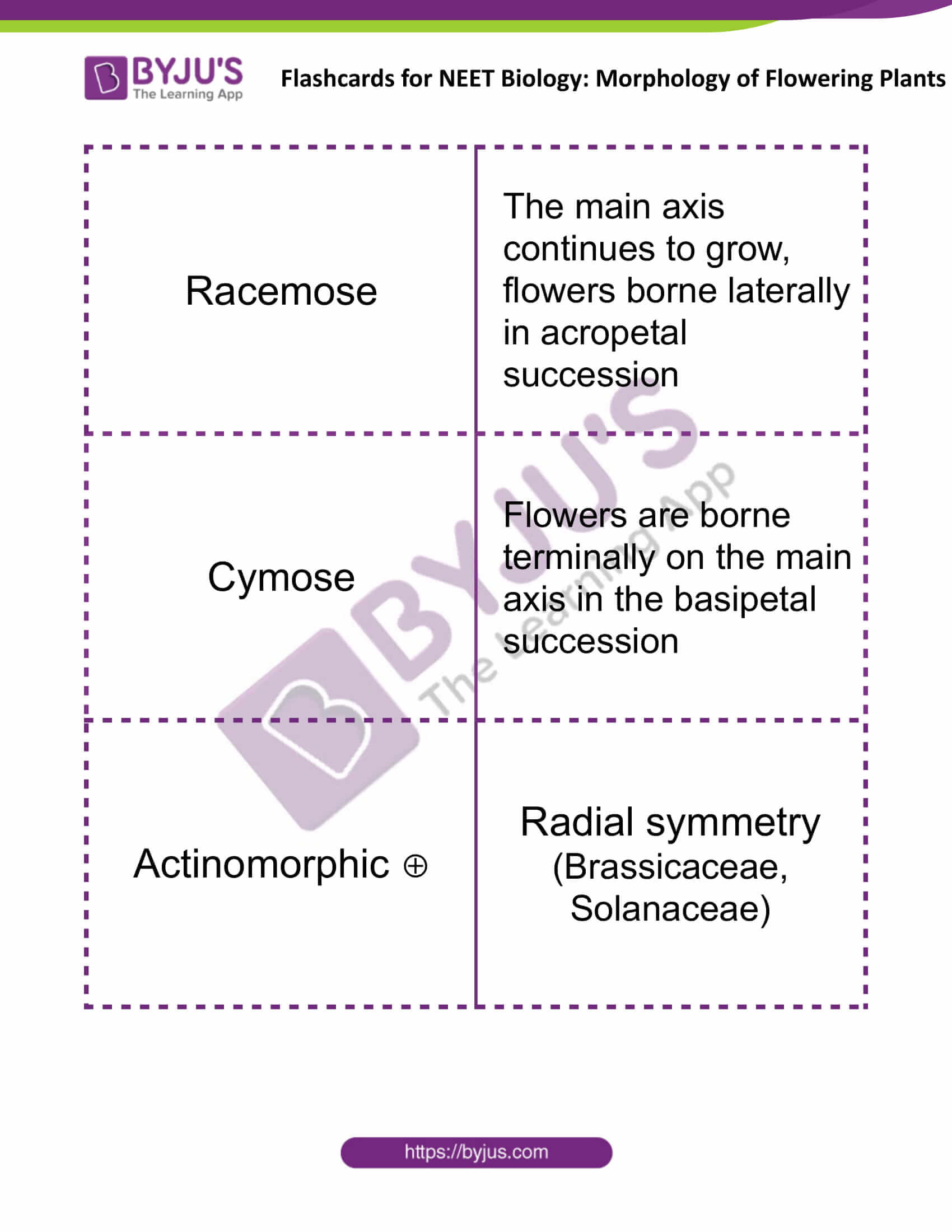 flashcards for neet biology morphology of flowering plants 05