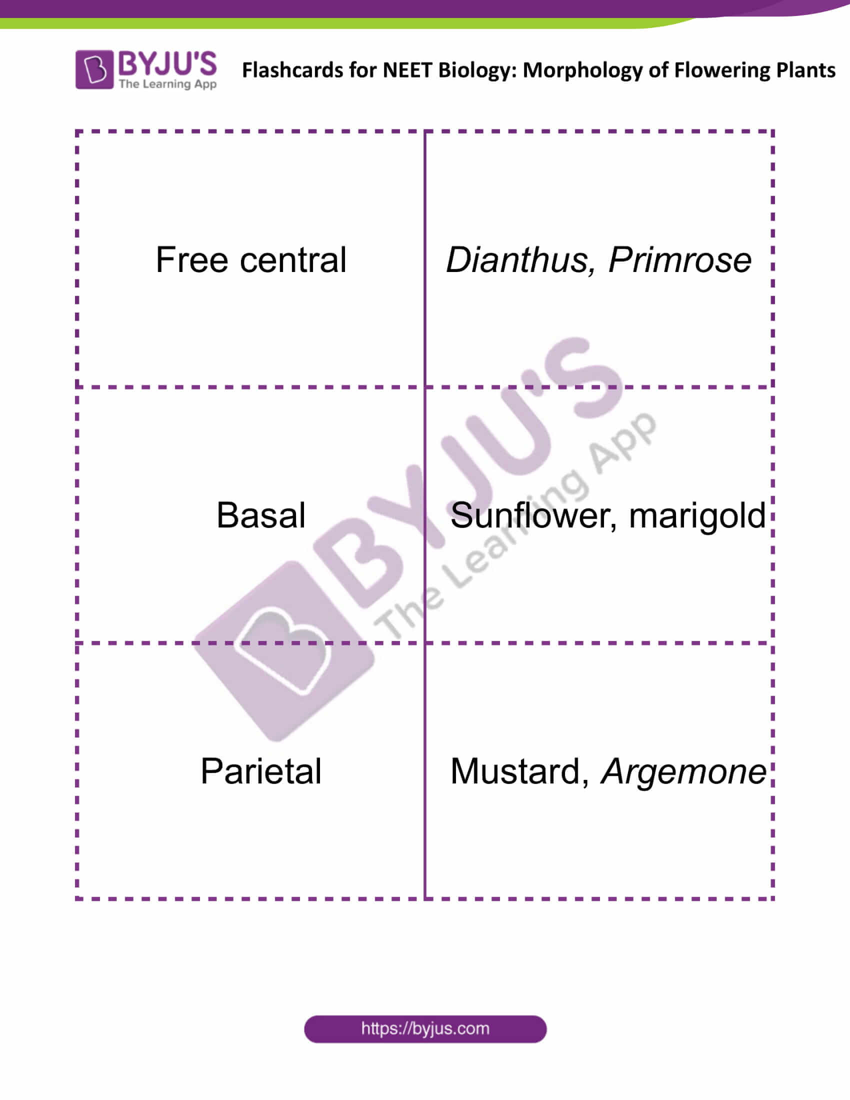 flashcards for neet biology morphology of flowering plants 09