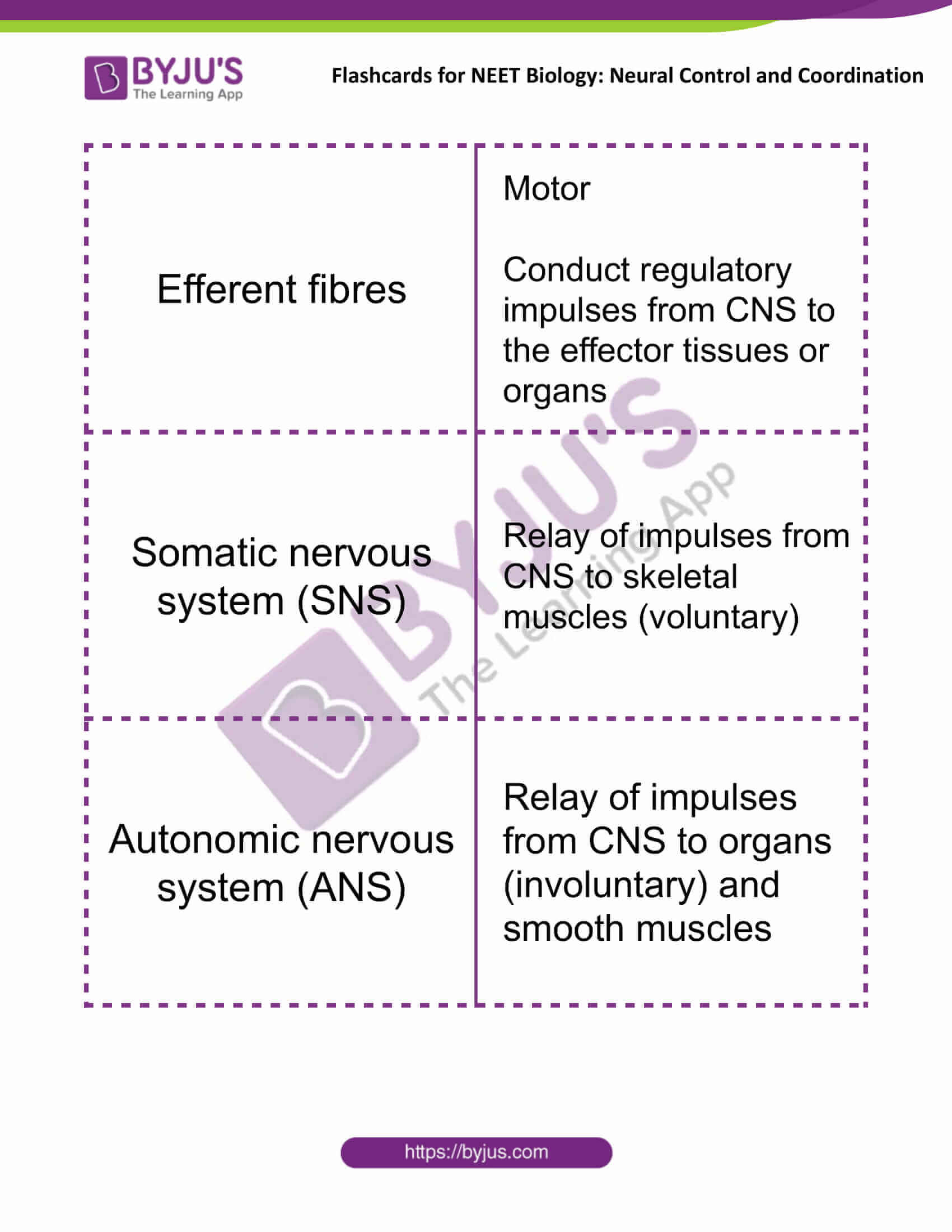 flashcards for neet biology neural control and coordination 02