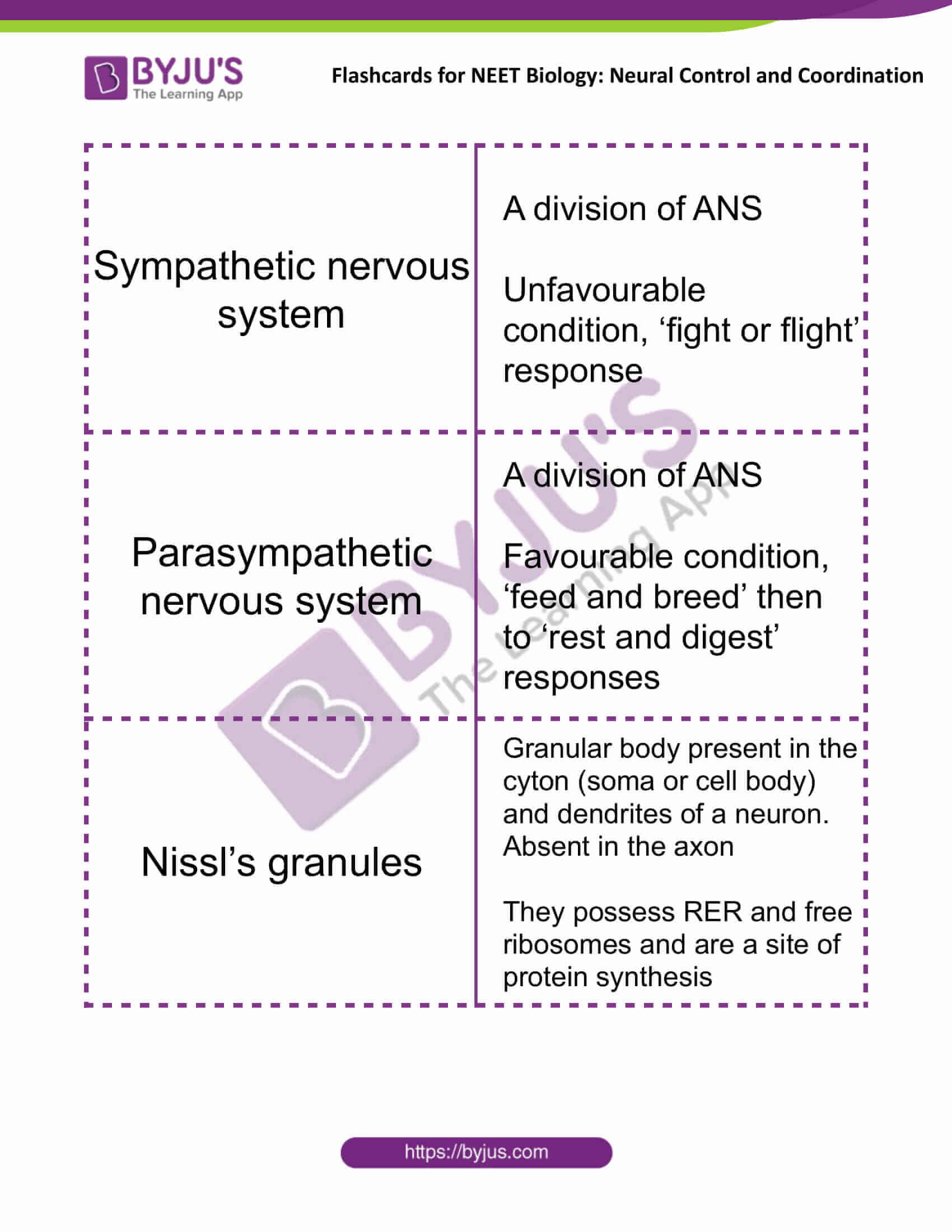 Neural Control And Coordination Flashcards For Neet Biology 6403